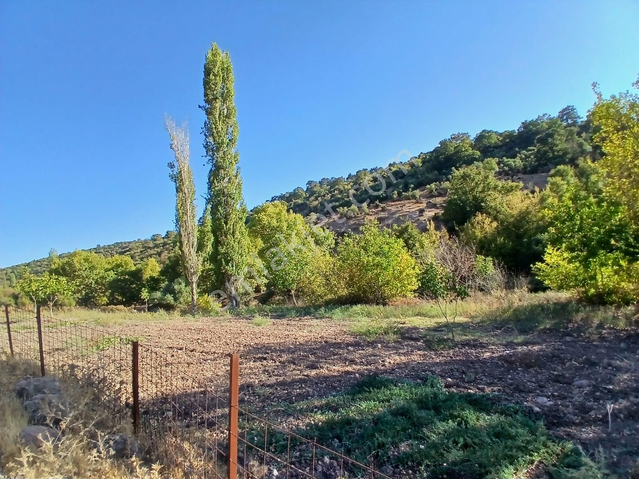 C21 Loca Balıkesir Sarıalan Otoyol Gişe Yakını 720m2hobi Bahçesi