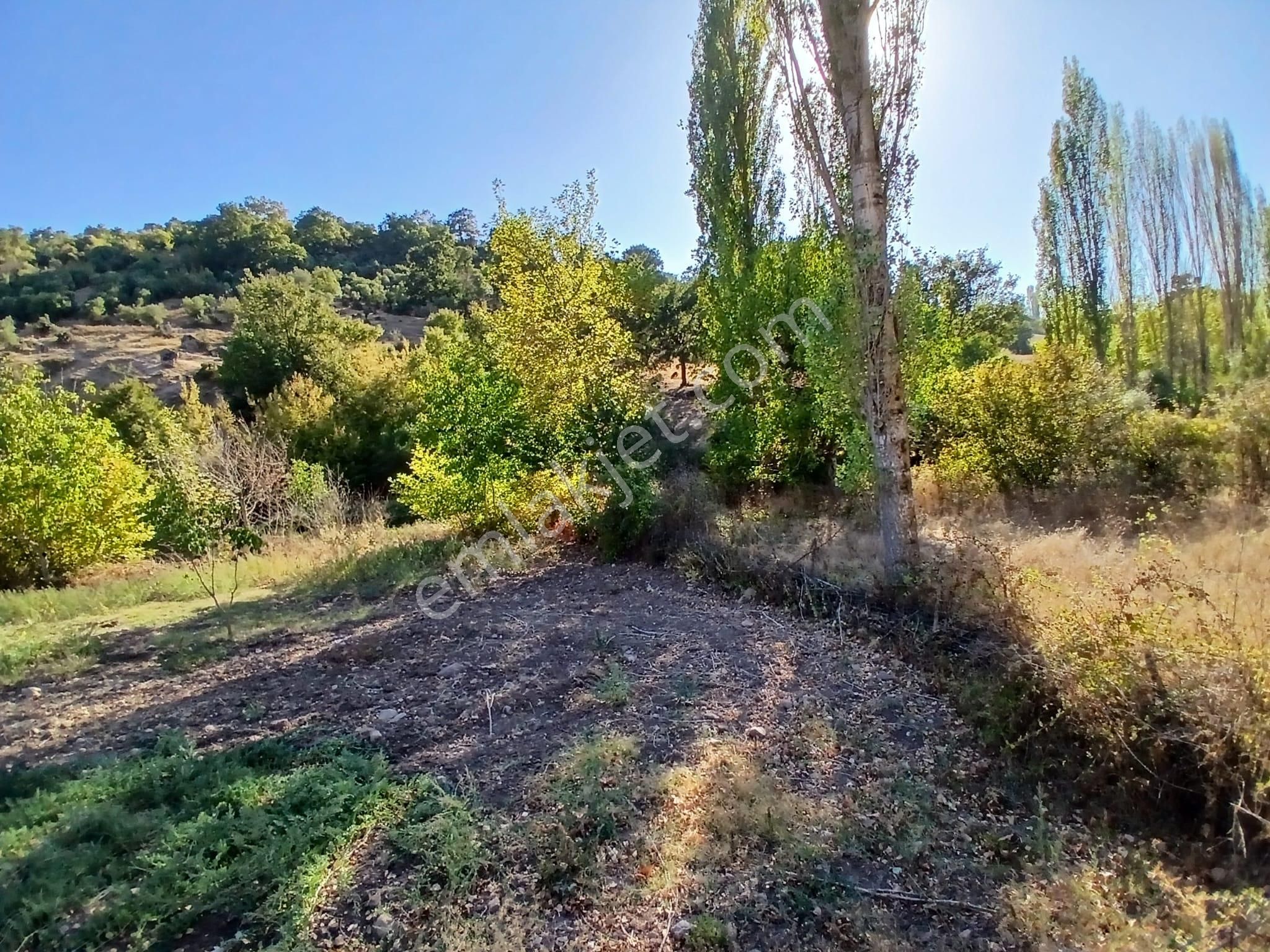 C21 Loca Balıkesir Sarıalan Otoyol Gişe Yakını 720m2hobi Bahçesi - Görsel 25