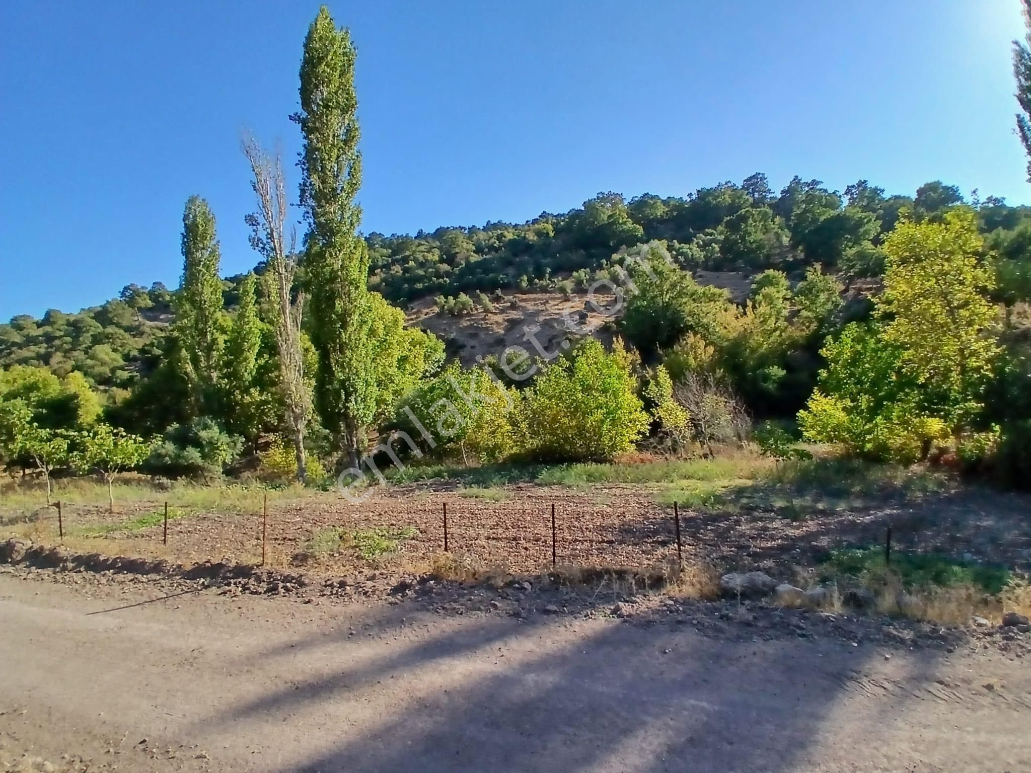 C21 Loca Balıkesir Sarıalan Otoyol Gişe Yakını 720m2hobi Bahçesi - Görsel 8