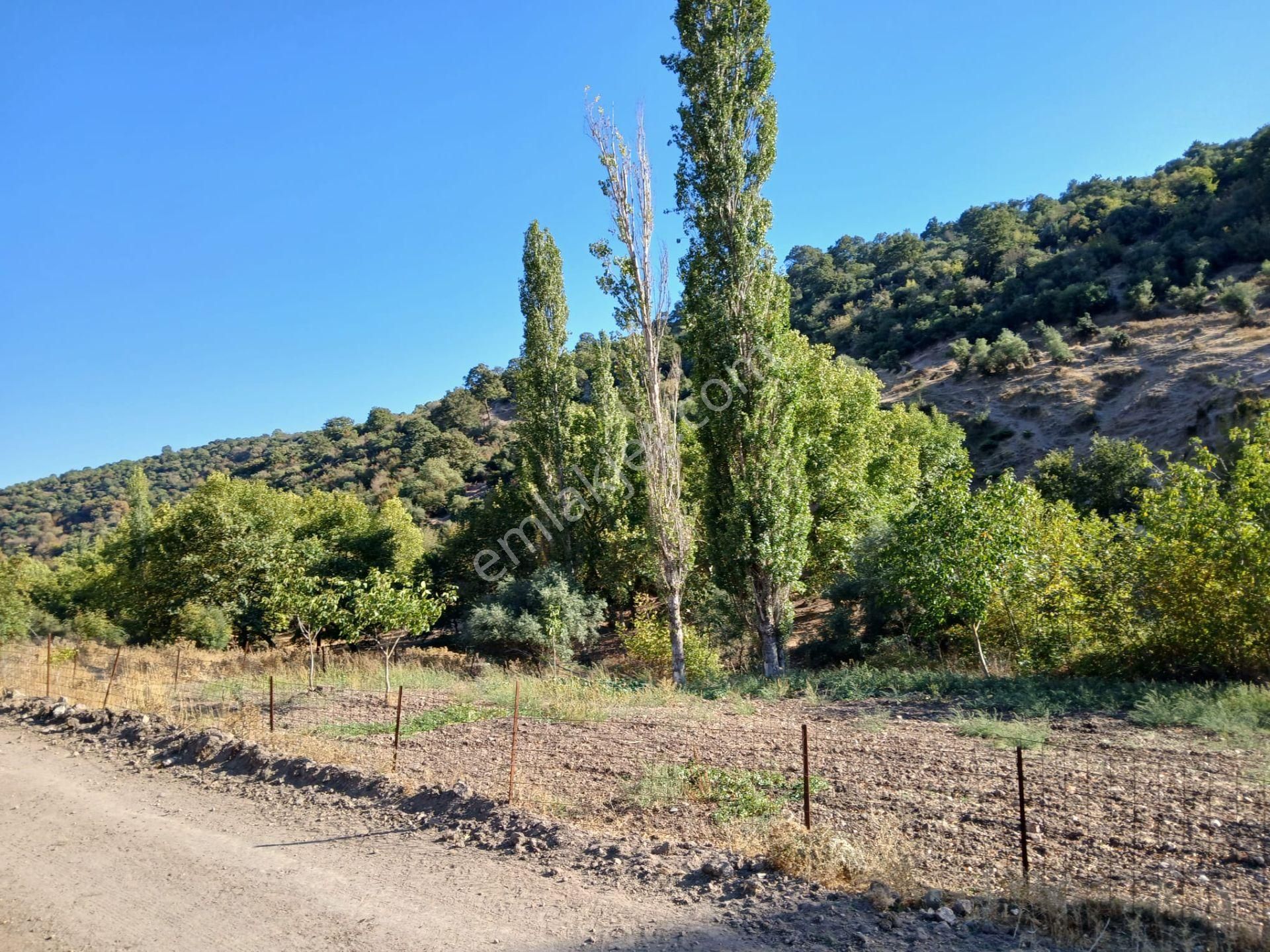 C21 Loca Balıkesir Sarıalan Otoyol Gişe Yakını 720m2hobi Bahçesi - Görsel 33