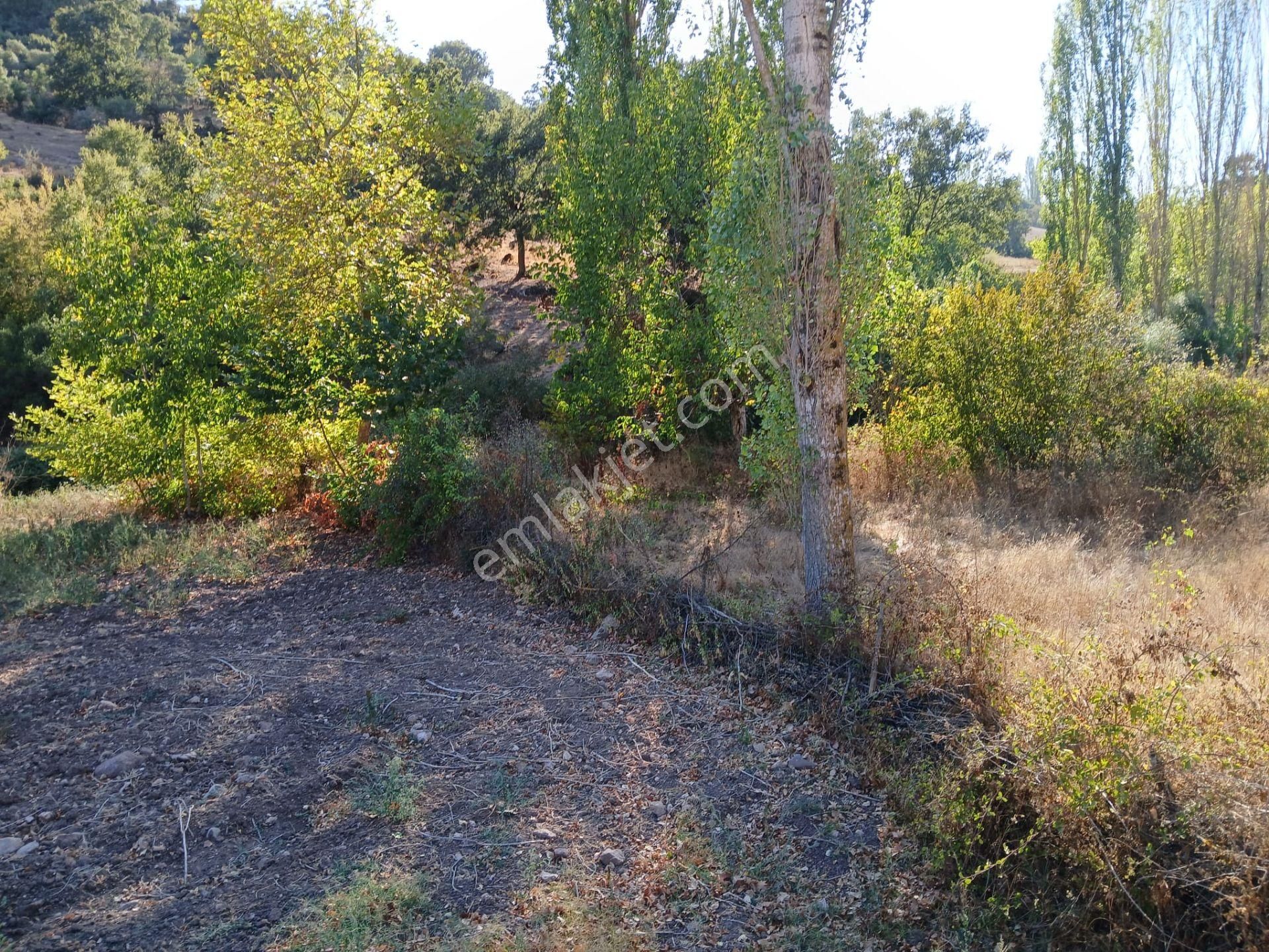 C21 Loca Balıkesir Sarıalan Otoyol Gişe Yakını 720m2hobi Bahçesi - Görsel 10