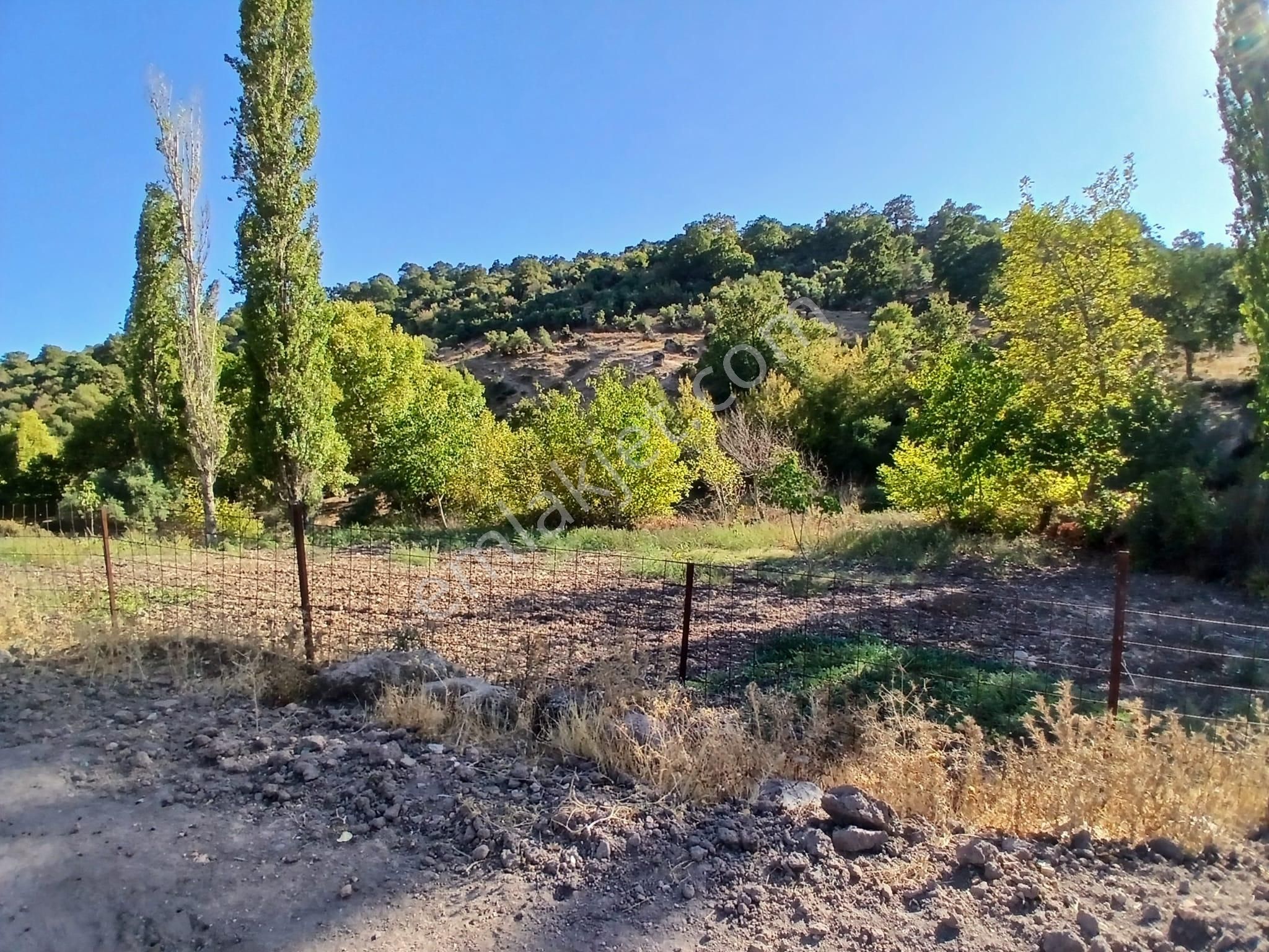 C21 Loca Balıkesir Sarıalan Otoyol Gişe Yakını 720m2hobi Bahçesi - Görsel 26