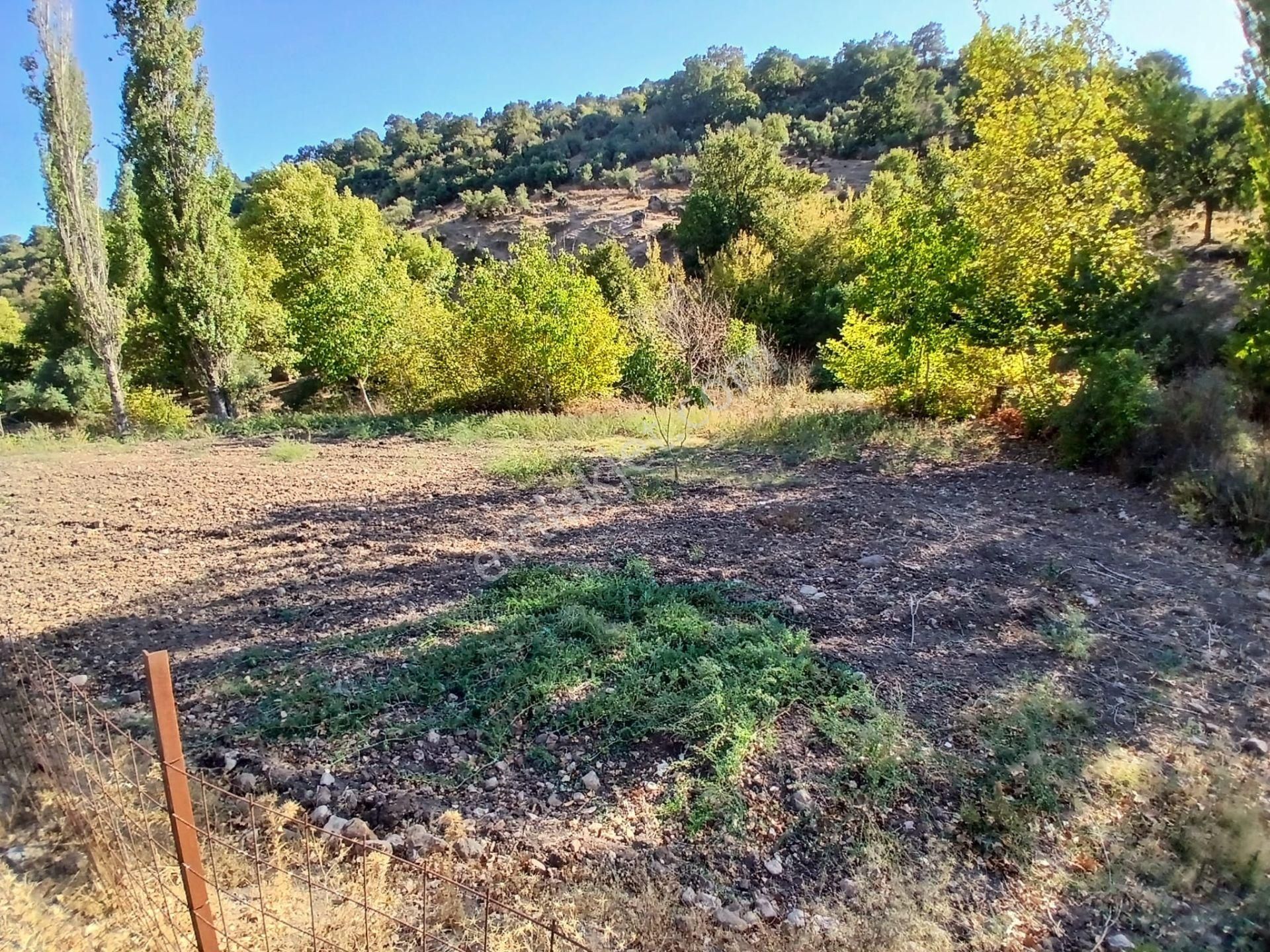 C21 Loca Balıkesir Sarıalan Otoyol Gişe Yakını 720m2hobi Bahçesi - Görsel 13