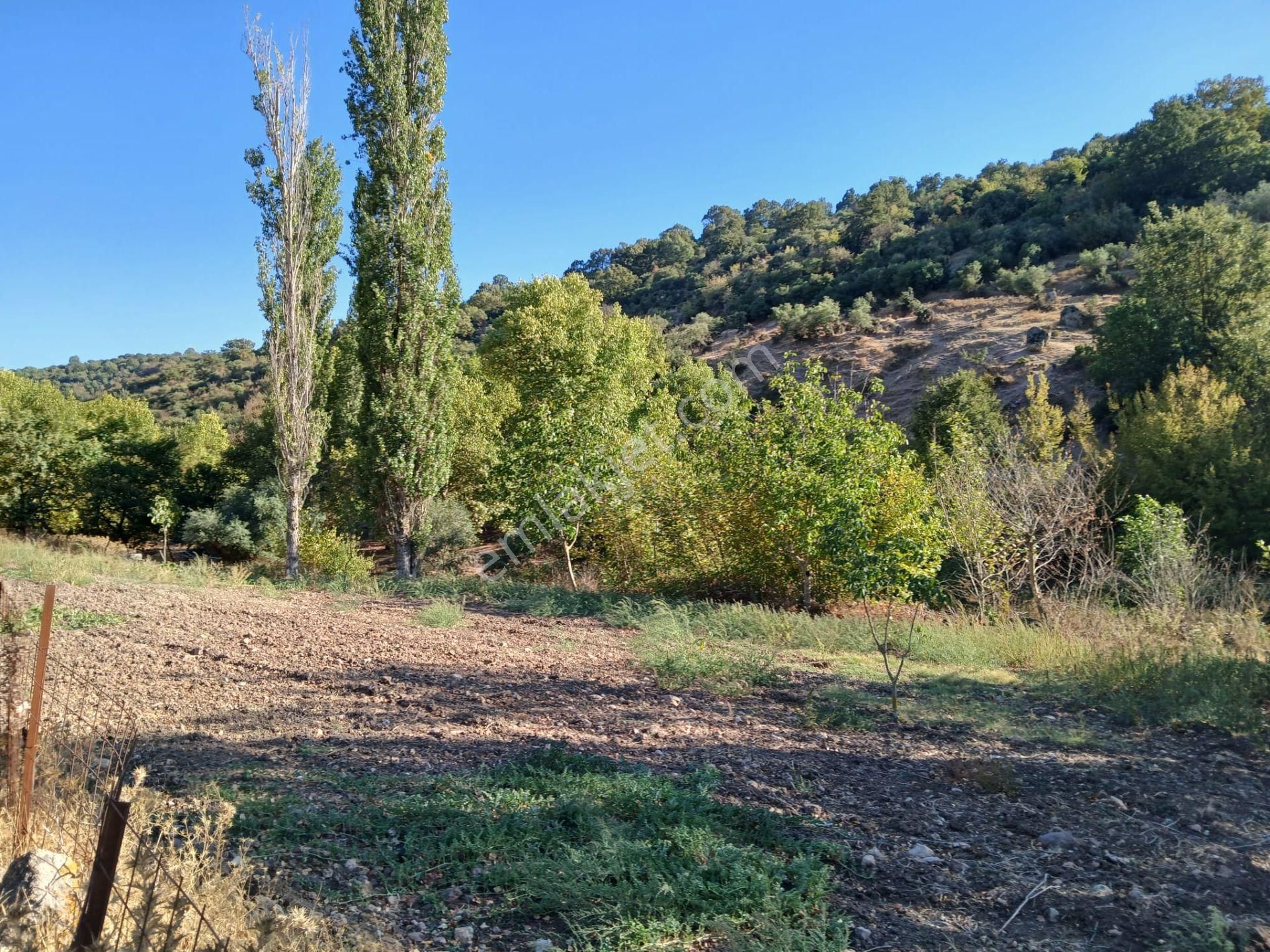 C21 Loca Balıkesir Sarıalan Otoyol Gişe Yakını 720m2hobi Bahçesi - Görsel 19