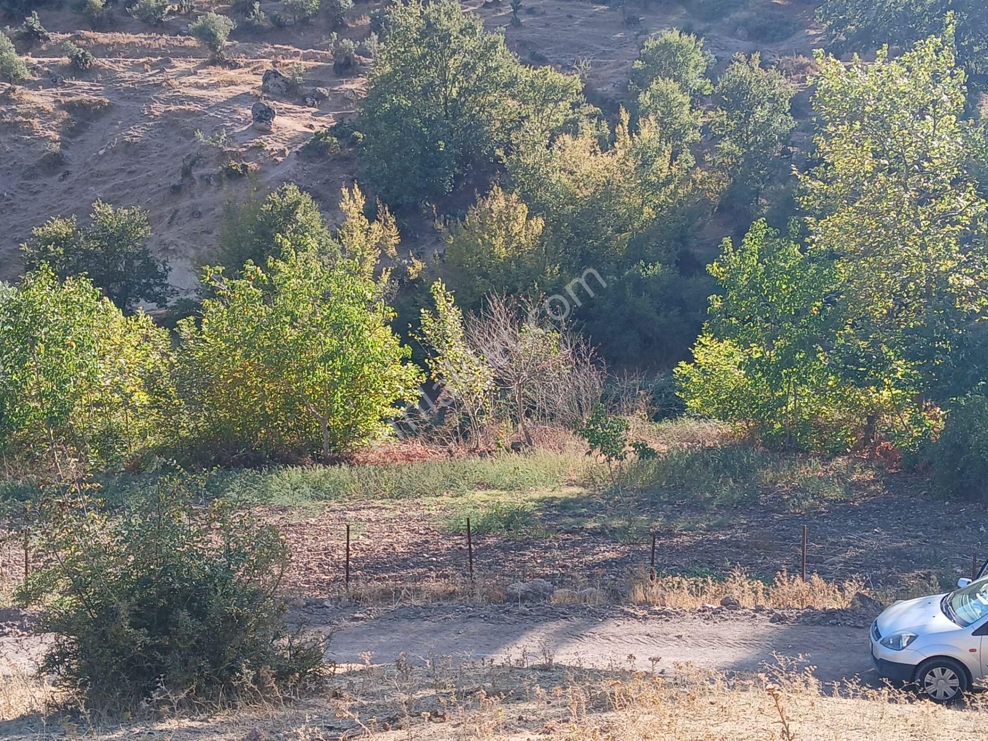 C21 Loca Balıkesir Sarıalan Otoyol Gişe Yakını 720m2hobi Bahçesi - Görsel 24