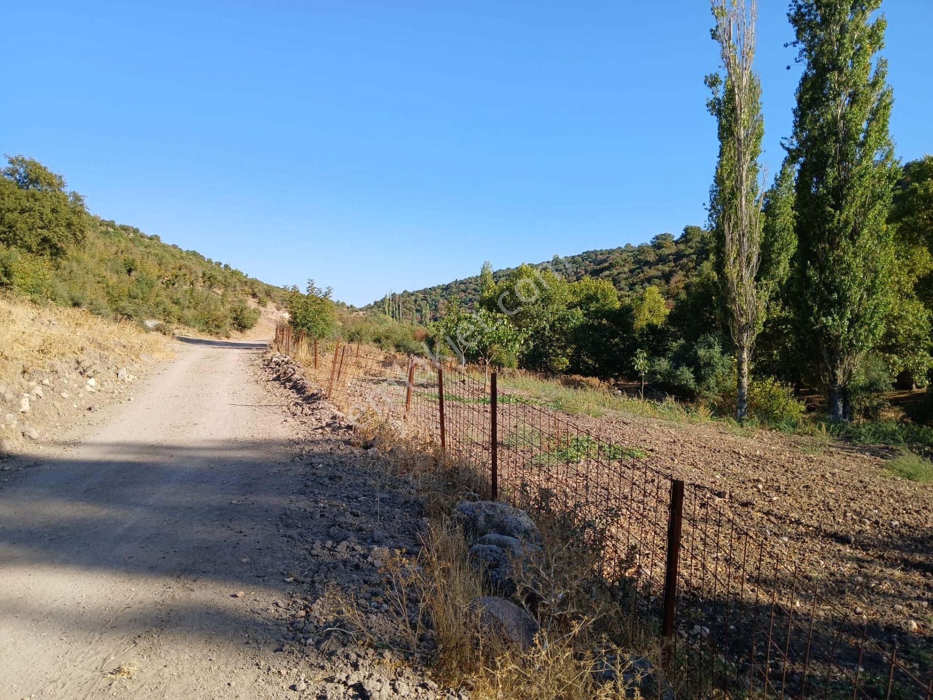 C21 Loca Balıkesir Sarıalan Otoyol Gişe Yakını 720m2hobi Bahçesi - Görsel 22