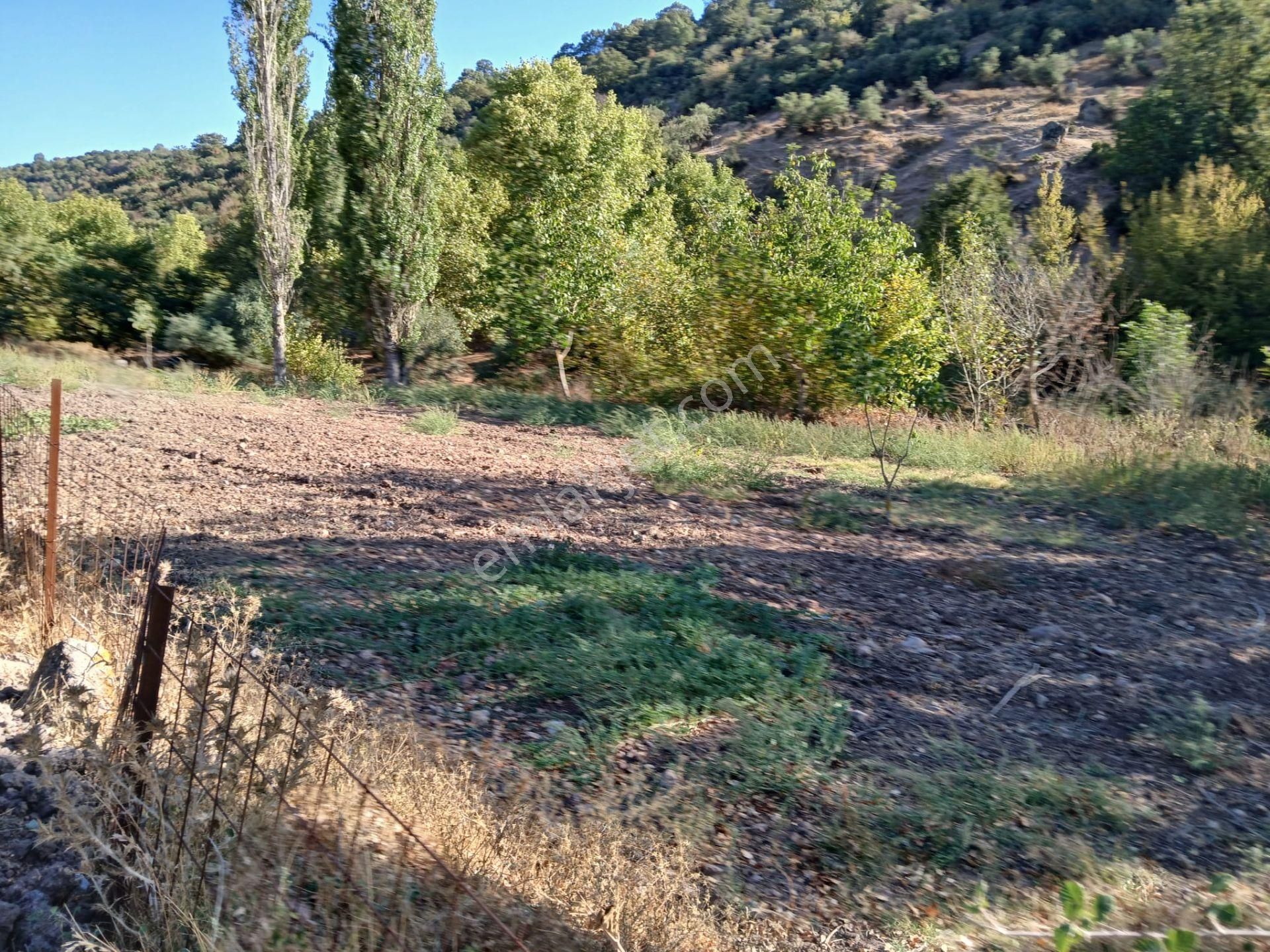 C21 Loca Balıkesir Sarıalan Otoyol Gişe Yakını 720m2hobi Bahçesi - Görsel 23