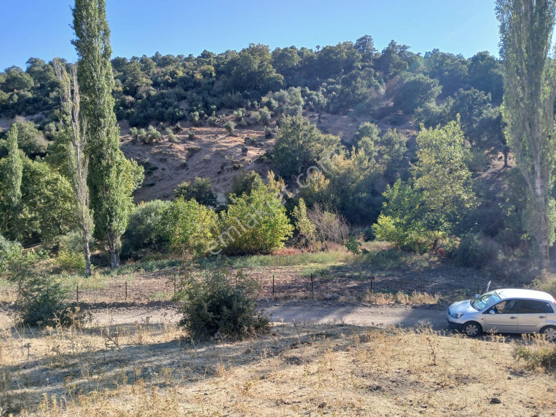 C21 Loca Balıkesir Sarıalan Otoyol Gişe Yakını 720m2hobi Bahçesi - Görsel 17