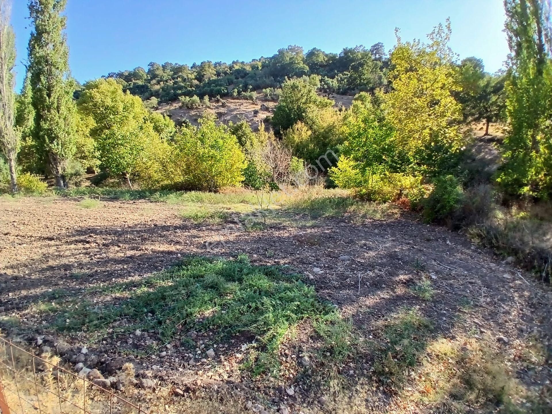 C21 Loca Balıkesir Sarıalan Otoyol Gişe Yakını 720m2hobi Bahçesi - Görsel 28