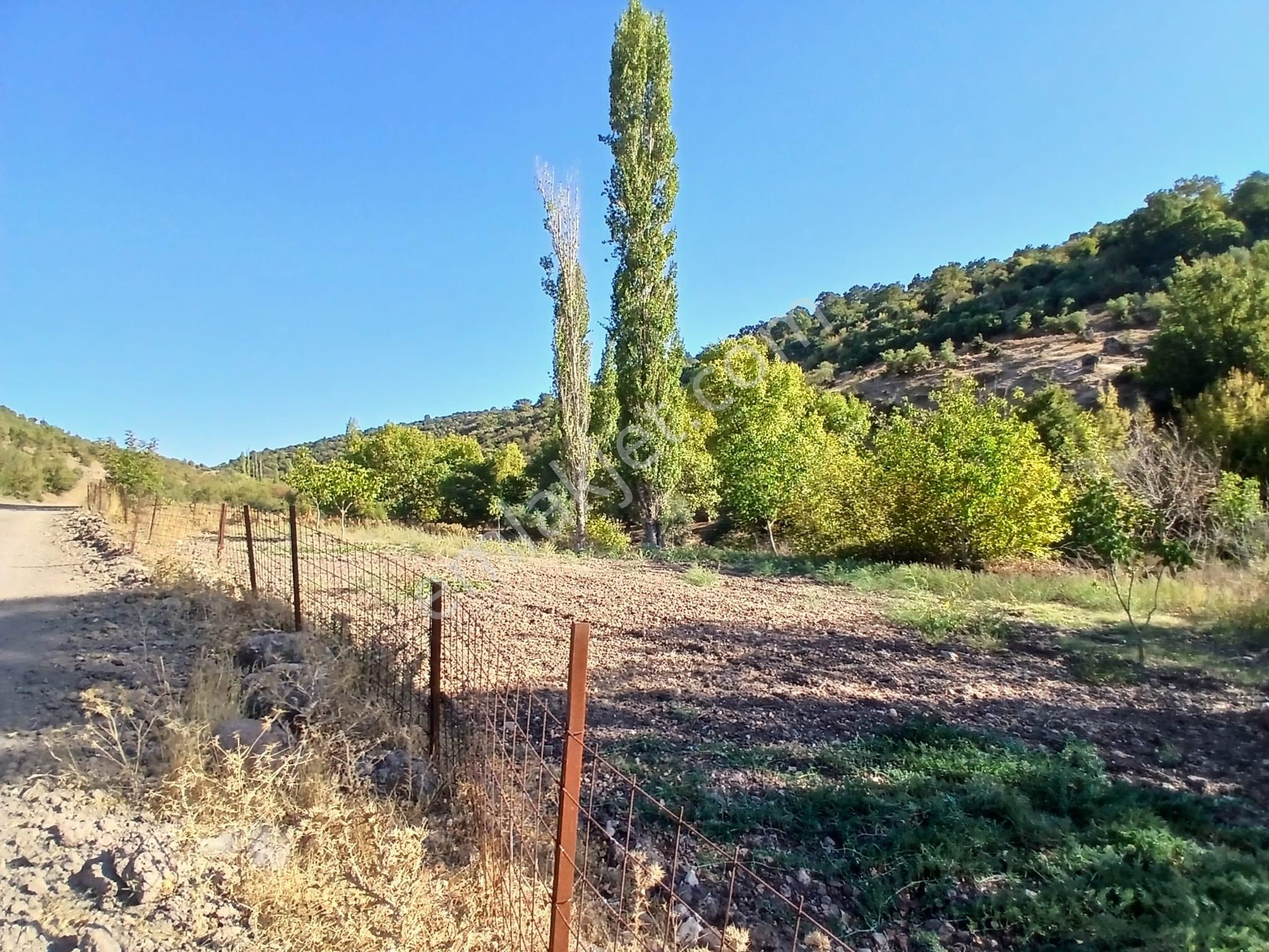 C21 Loca Balıkesir Sarıalan Otoyol Gişe Yakını 720m2hobi Bahçesi - Görsel 16