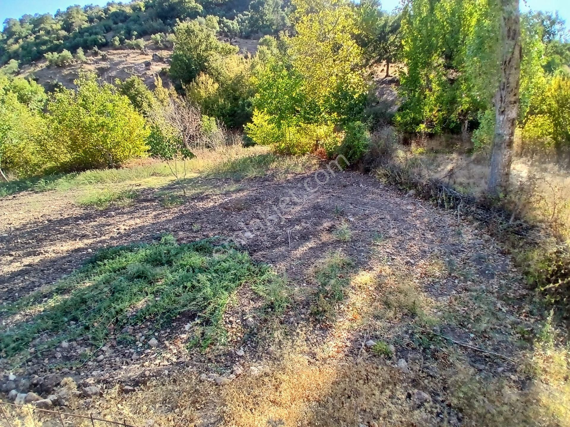 C21 Loca Balıkesir Sarıalan Otoyol Gişe Yakını 720m2hobi Bahçesi - Görsel 11