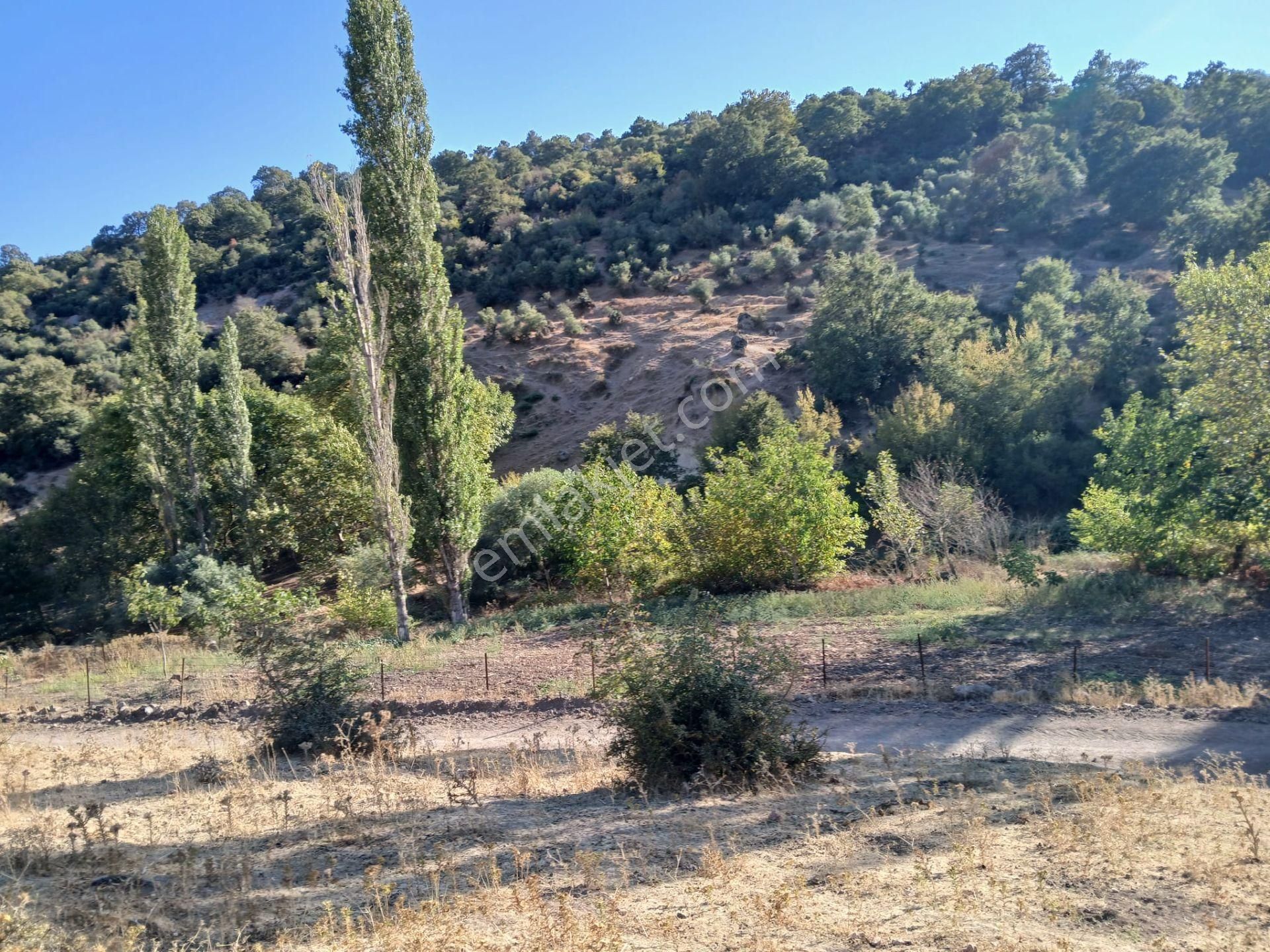 C21 Loca Balıkesir Sarıalan Otoyol Gişe Yakını 720m2hobi Bahçesi - Görsel 18