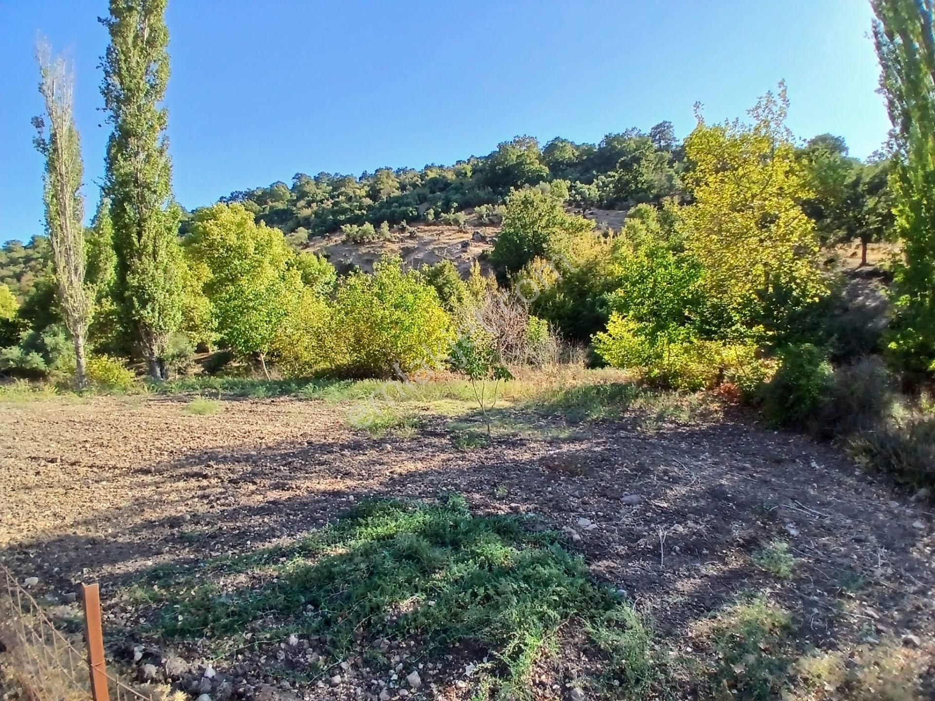 C21 Loca Balıkesir Sarıalan Otoyol Gişe Yakını 720m2hobi Bahçesi - Görsel 5