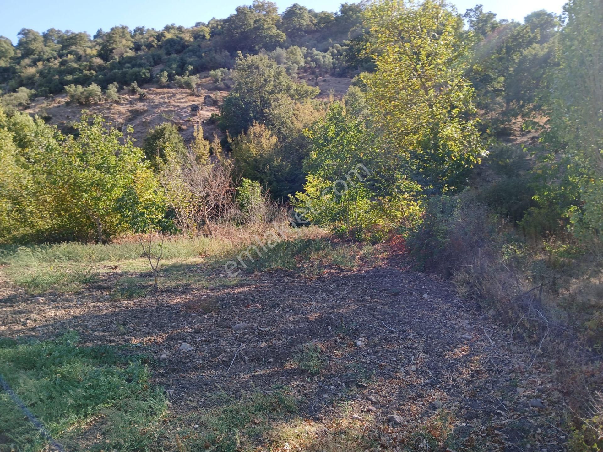 C21 Loca Balıkesir Sarıalan Otoyol Gişe Yakını 720m2hobi Bahçesi - Görsel 29