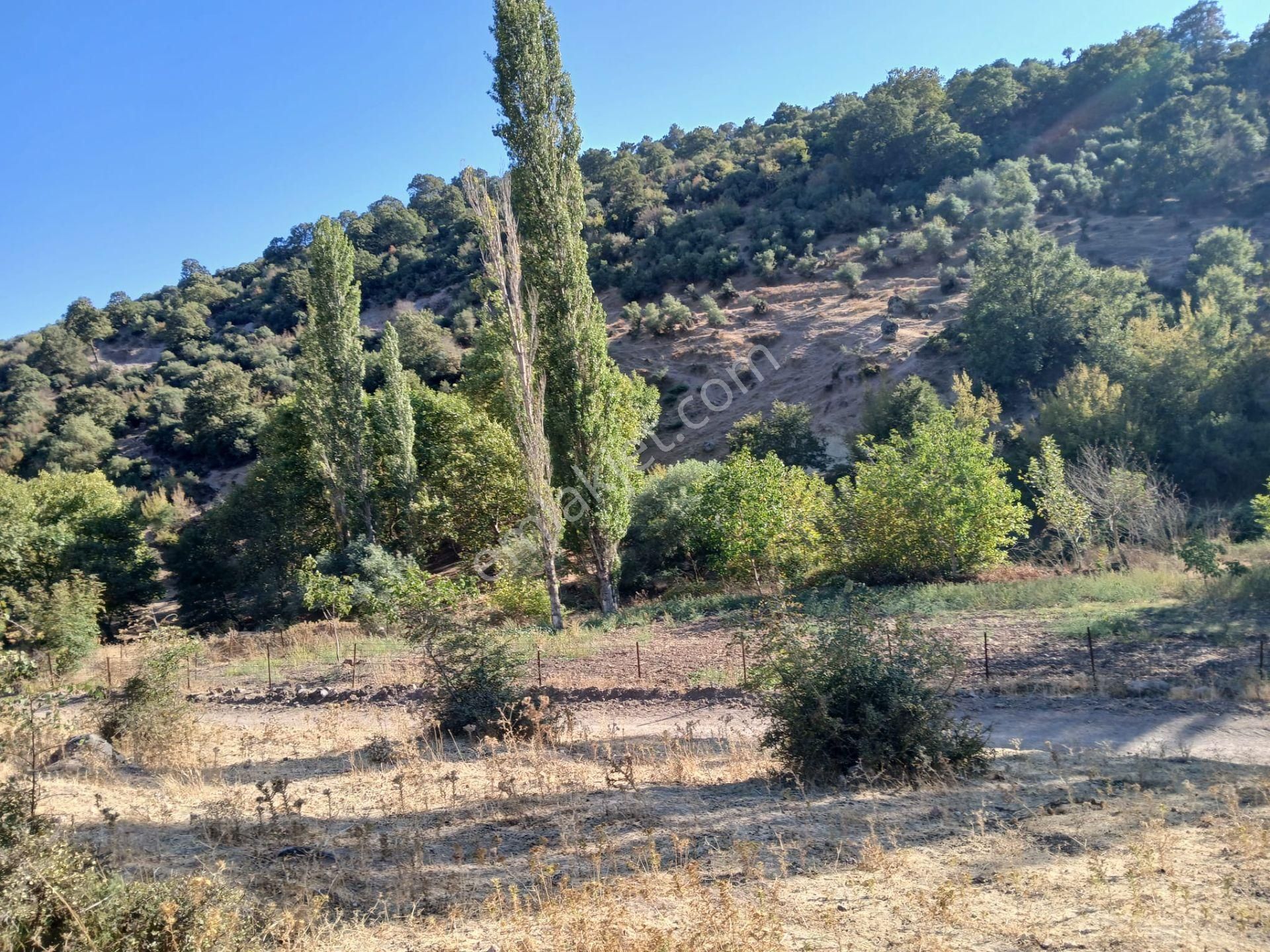 C21 Loca Balıkesir Sarıalan Otoyol Gişe Yakını 720m2hobi Bahçesi - Görsel 14