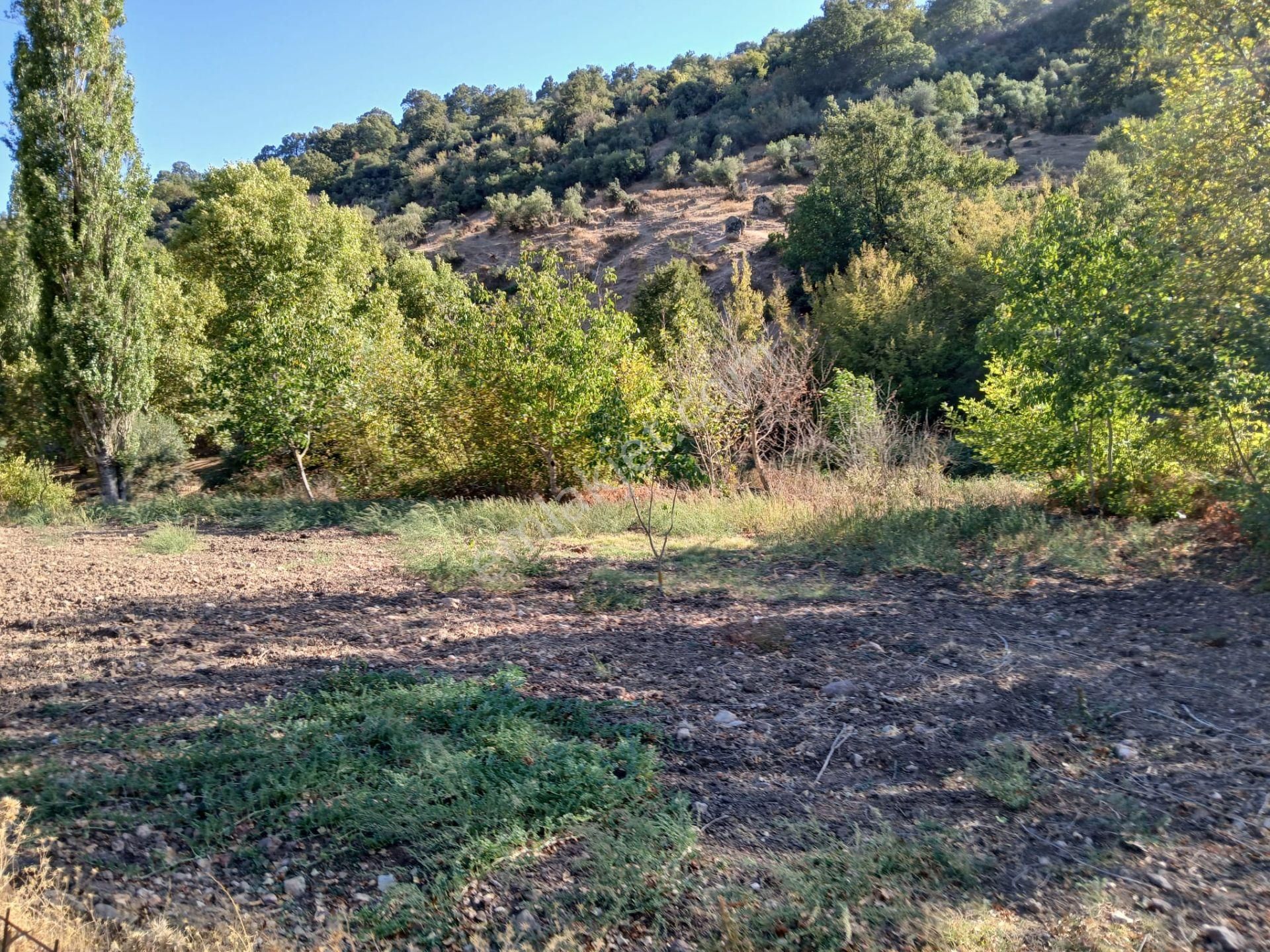 C21 Loca Balıkesir Sarıalan Otoyol Gişe Yakını 720m2hobi Bahçesi - Görsel 12