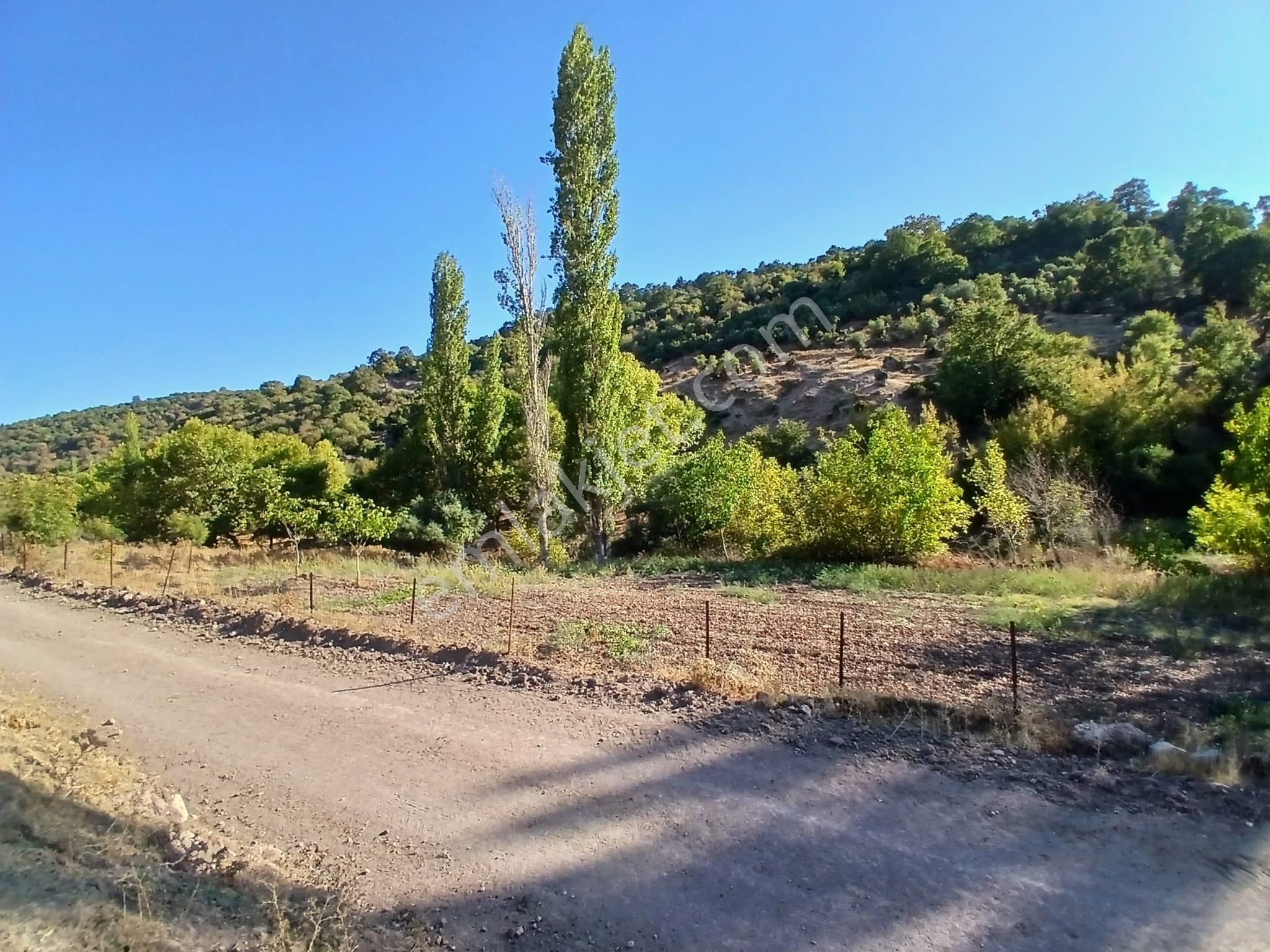 C21 Loca Balıkesir Sarıalan Otoyol Gişe Yakını 720m2hobi Bahçesi - Görsel 31