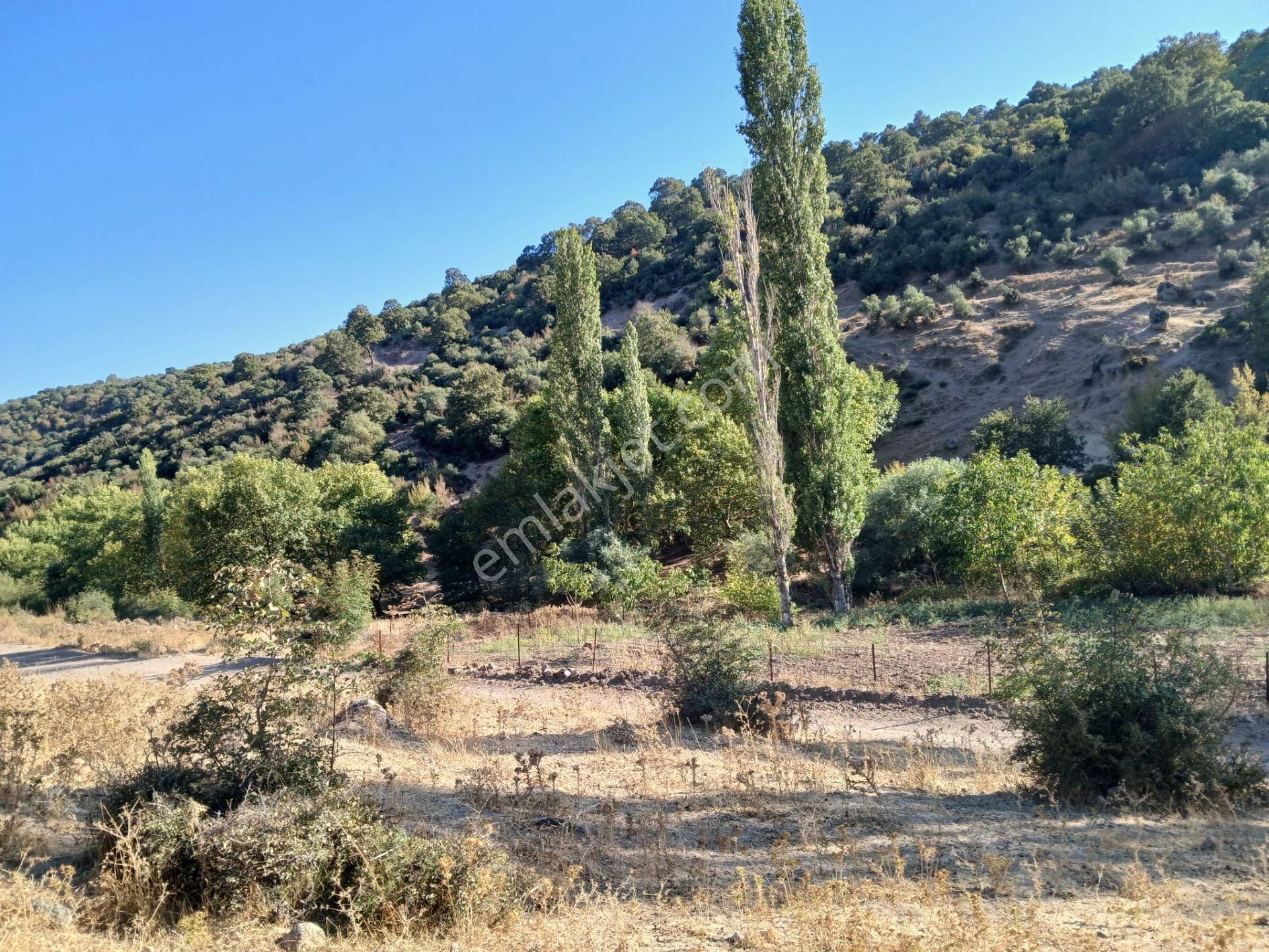 C21 Loca Balıkesir Sarıalan Otoyol Gişe Yakını 720m2hobi Bahçesi - Görsel 30