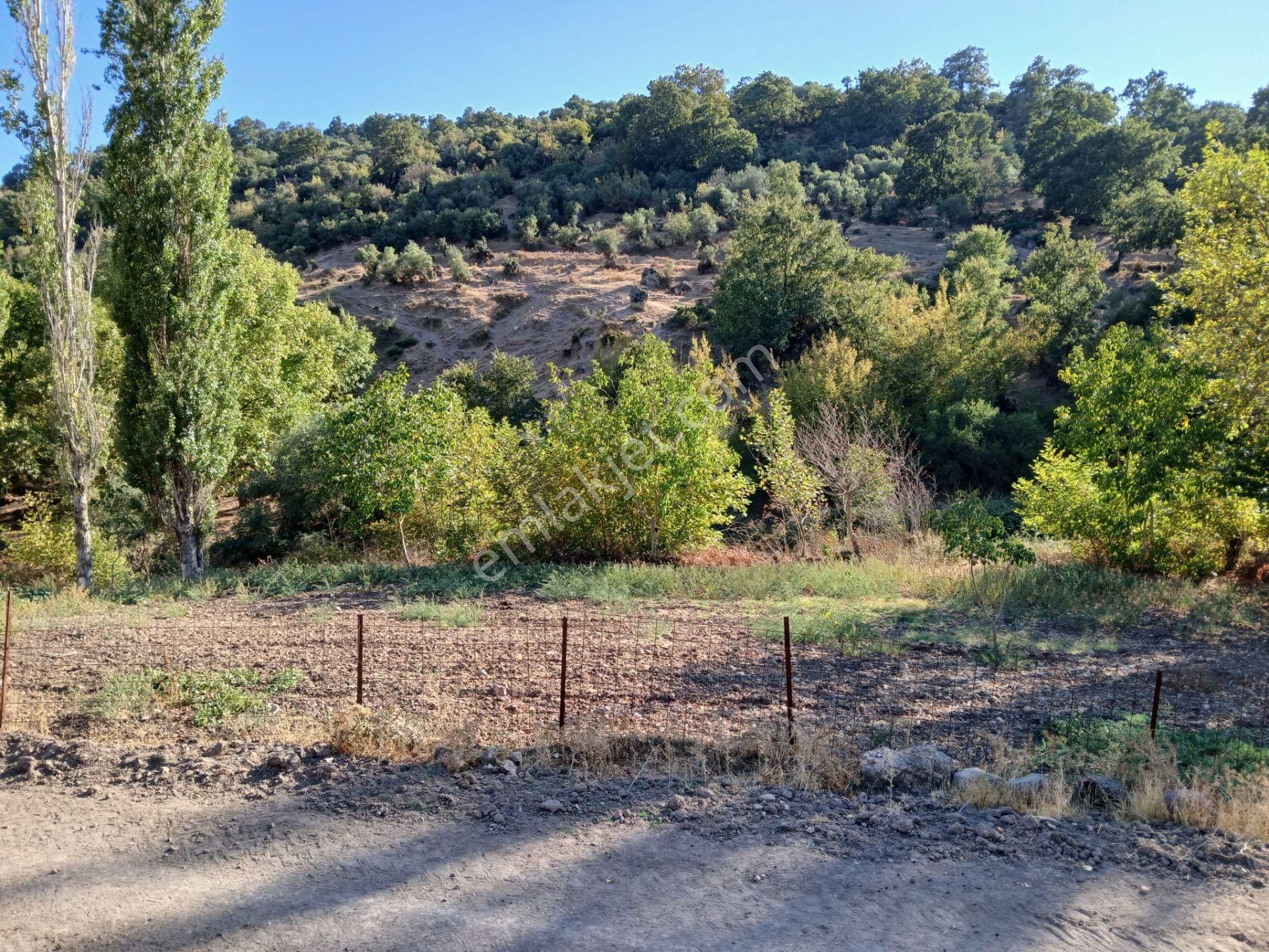 C21 Loca Balıkesir Sarıalan Otoyol Gişe Yakını 720m2hobi Bahçesi - Görsel 34