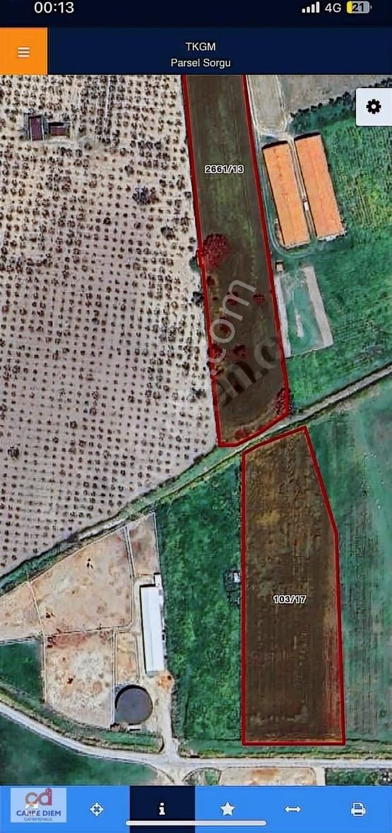 Urla Kuşçular Da 6907 M2 Satılık Tarla - Görsel 3