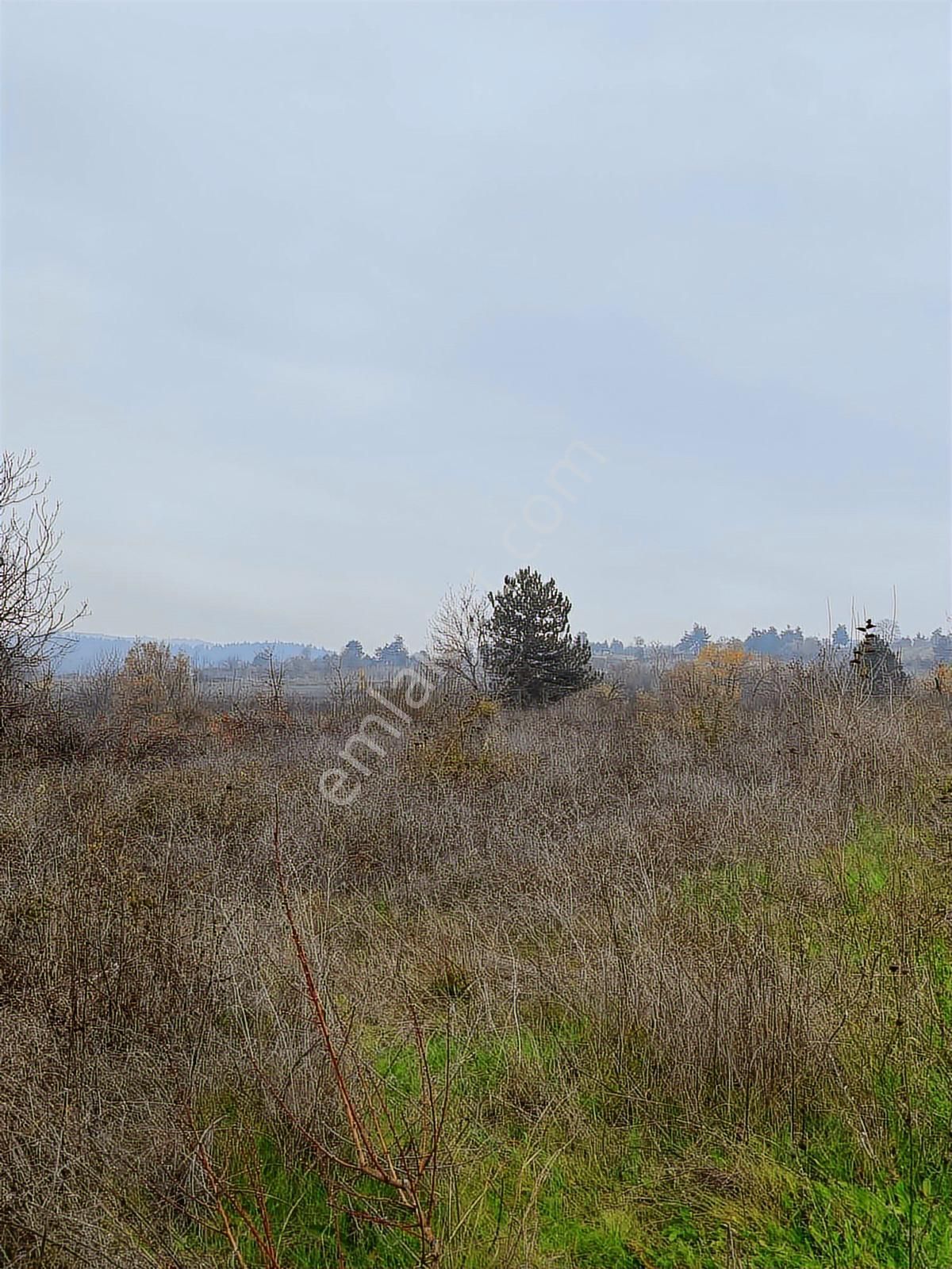 Anka Gayrimenkulden Küçük Yenice Mahallesinde Satılık Tarla - Görsel 2