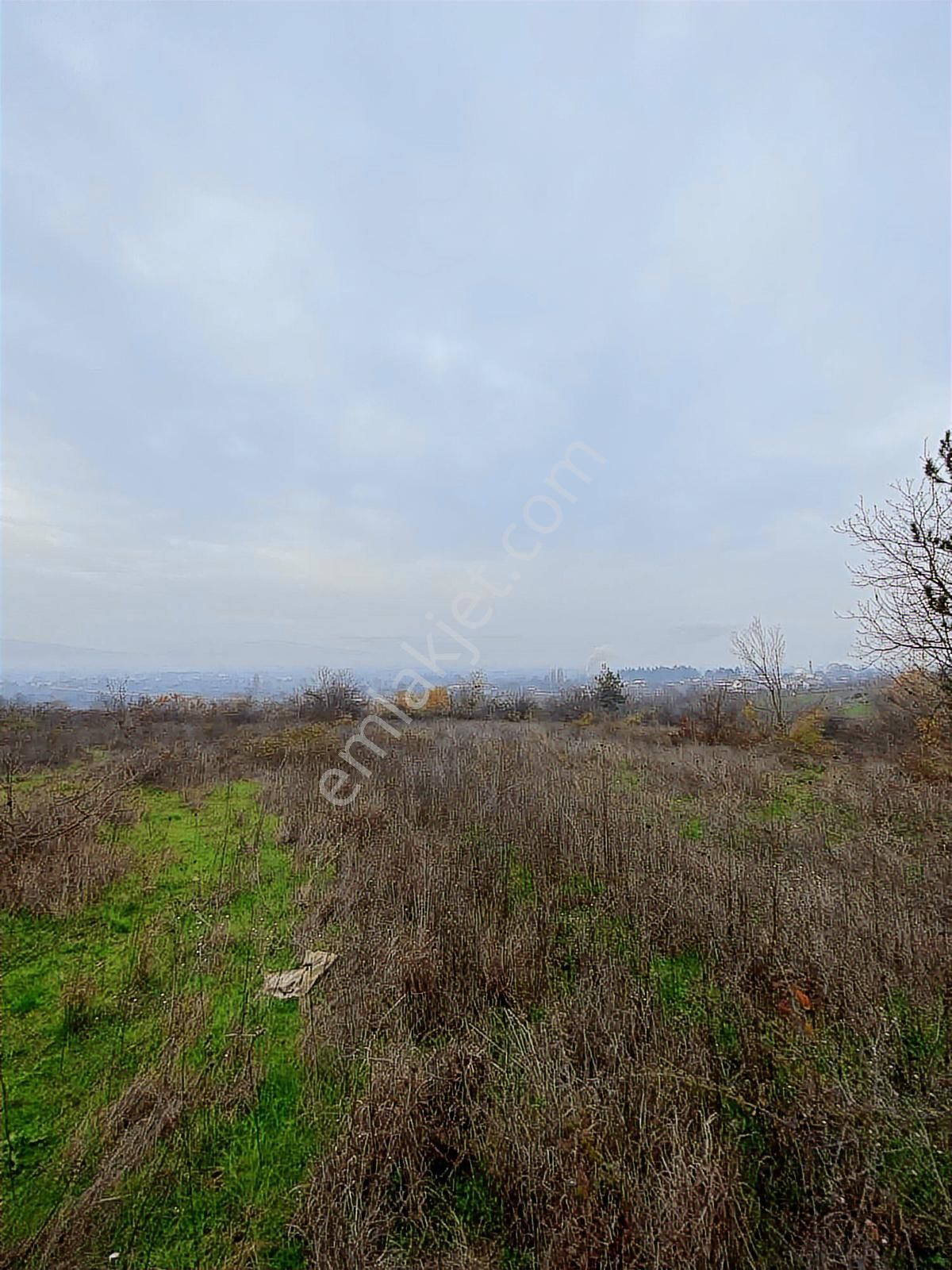 Anka Gayrimenkulden Küçük Yenice Mahallesinde Satılık Tarla - Görsel 12