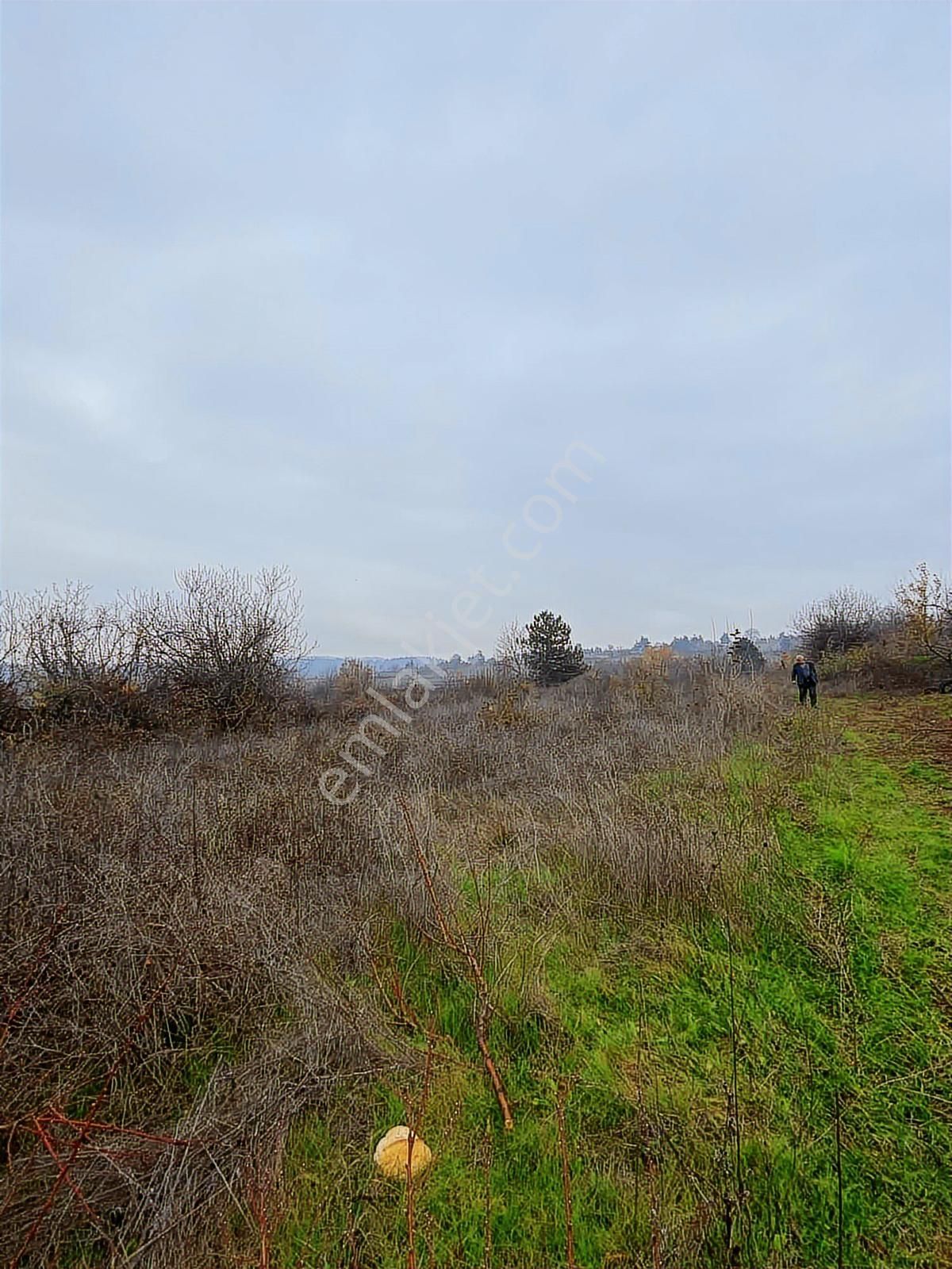 Anka Gayrimenkulden Küçük Yenice Mahallesinde Satılık Tarla - Görsel 4