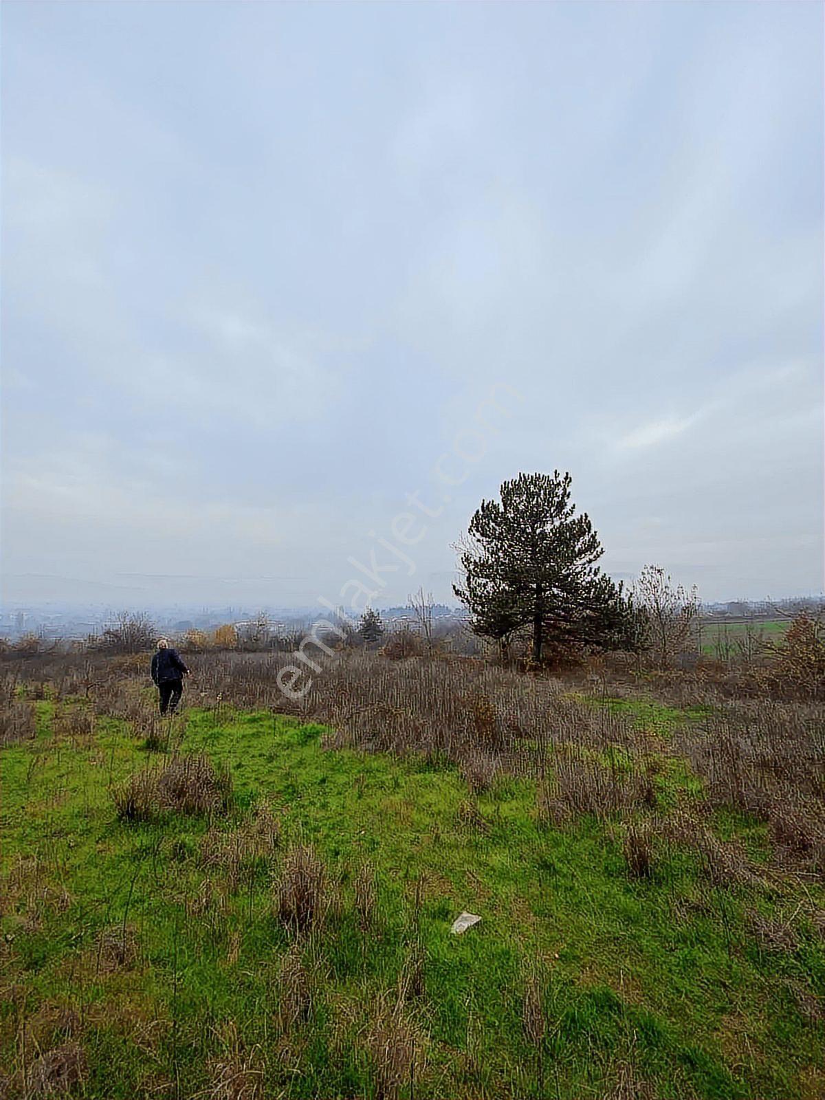 Anka Gayrimenkulden Küçük Yenice Mahallesinde Satılık Tarla - Görsel 9