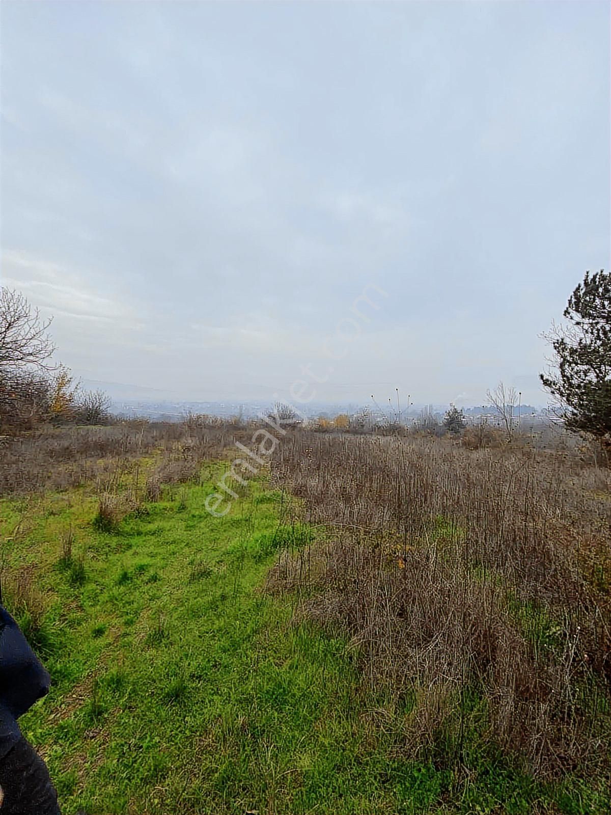 Anka Gayrimenkulden Küçük Yenice Mahallesinde Satılık Tarla - Görsel 10