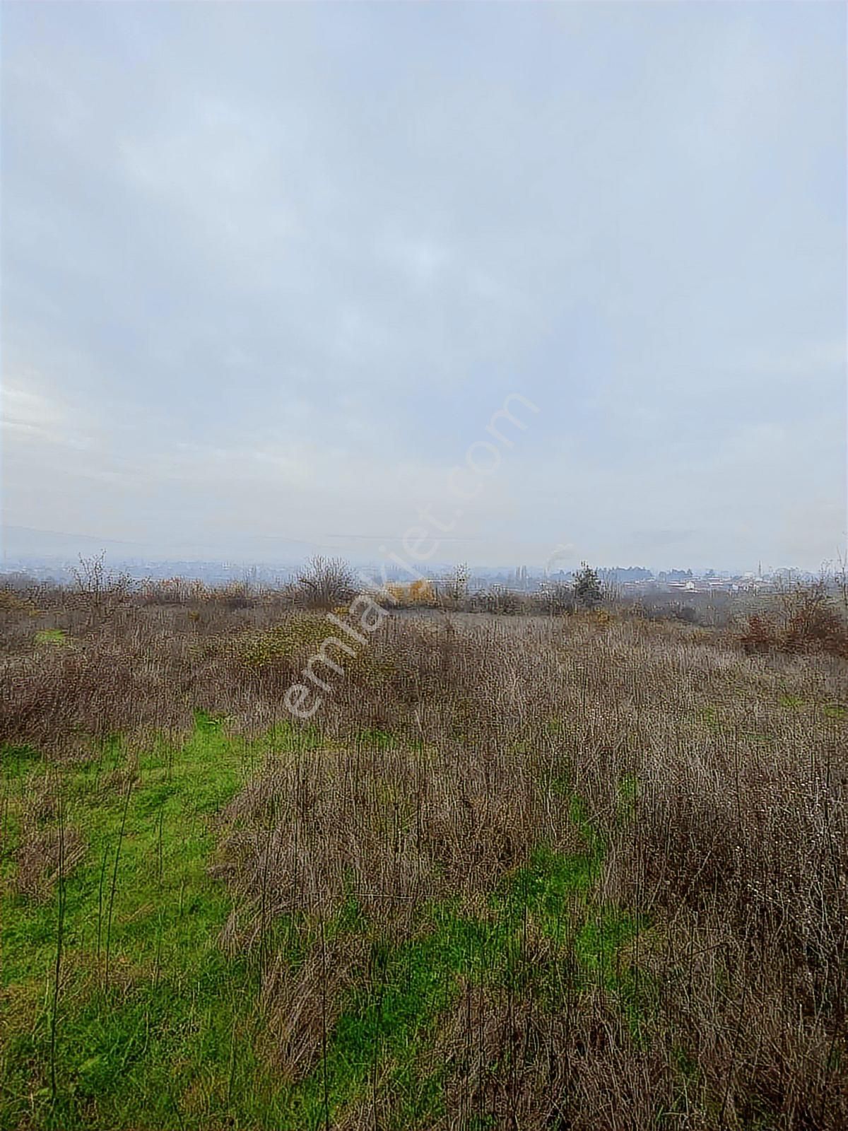 Anka Gayrimenkulden Küçük Yenice Mahallesinde Satılık Tarla - Görsel 5