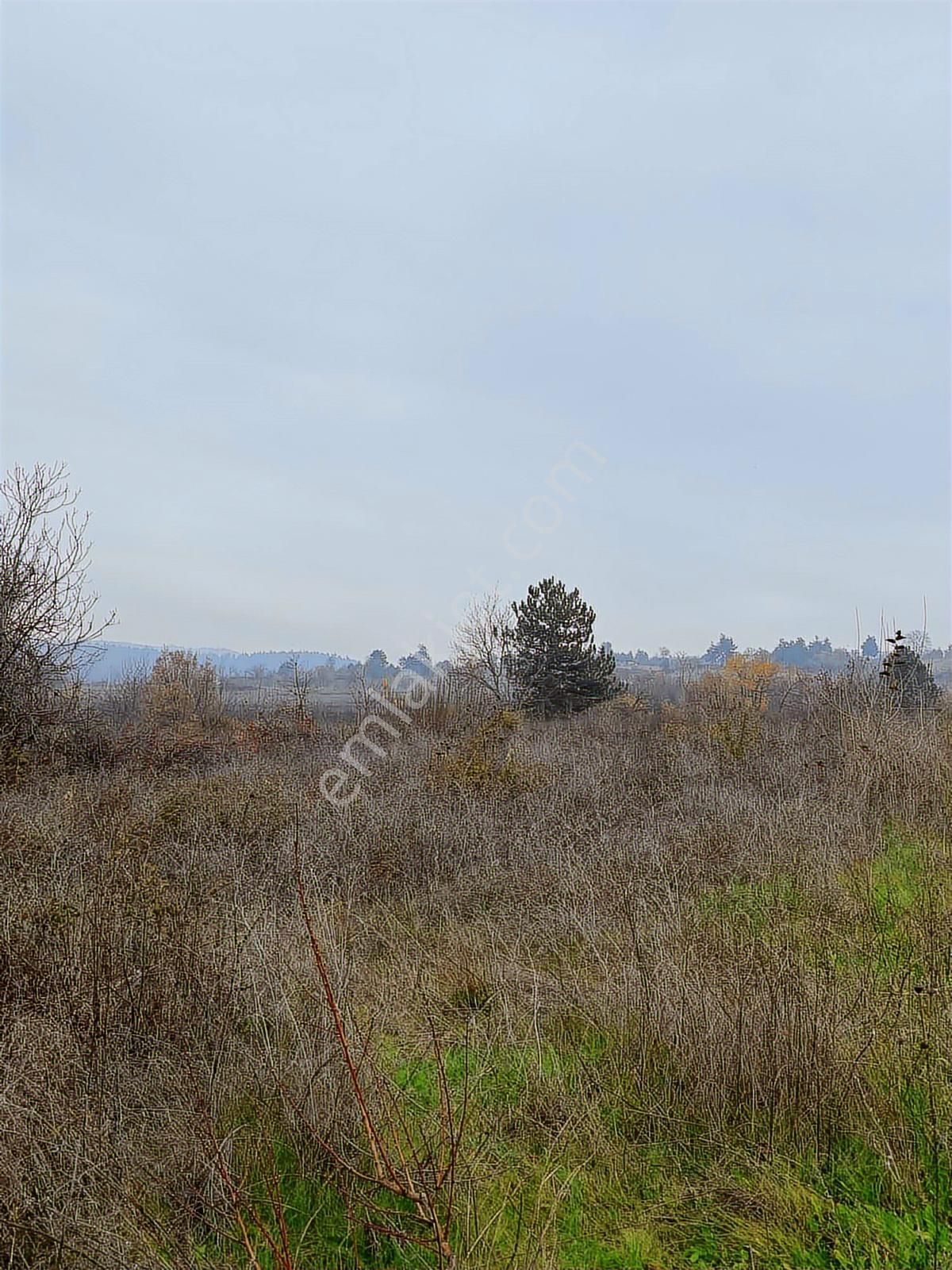 Anka Gayrimenkulden Küçük Yenice Mahallesinde Satılık Tarla - Görsel 3