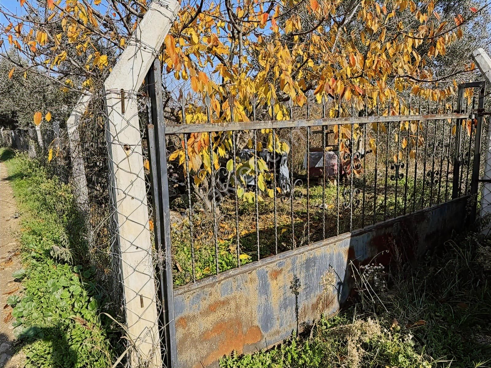Fırsat Müstakil Mükemmel Bahçe - Görsel 3