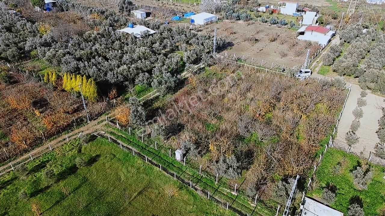 Fırsat Müstakil Mükemmel Bahçe - Görsel 4