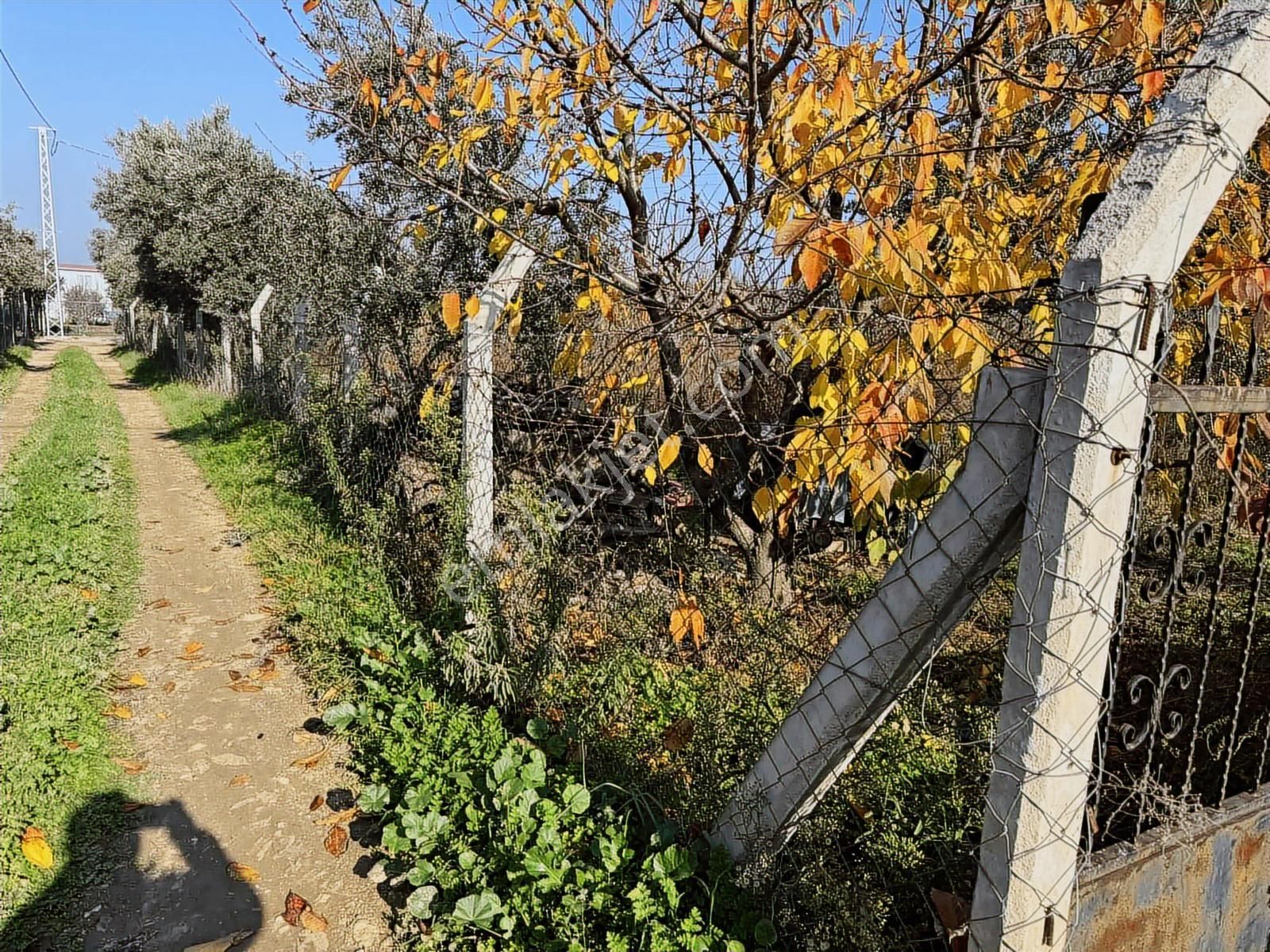 Fırsat Müstakil Mükemmel Bahçe - Görsel 24