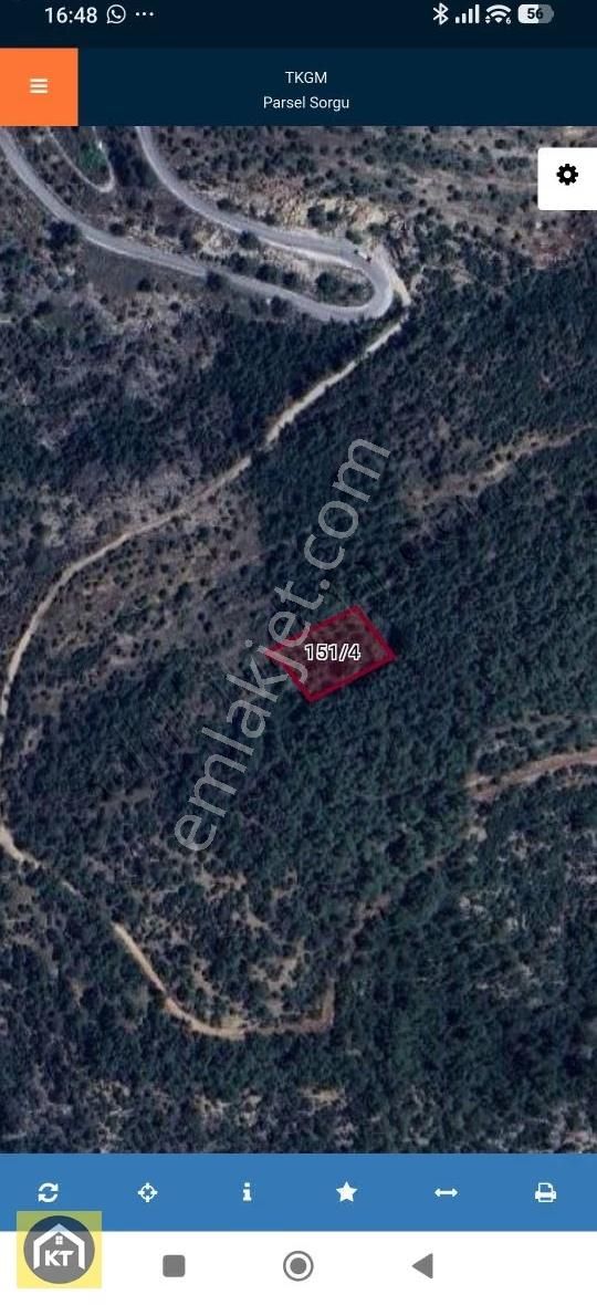 K.topçu'dan Muğla Milas'ta 2.130m2 Tek Tapu Yatırımlık Zeytinlik - Görsel 5