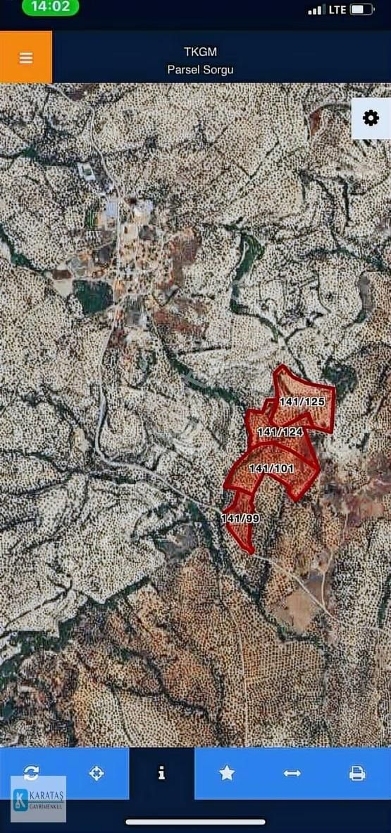 Ayvalık'ta Satılık Uygun Fiyatlı 107 Dönüm Zeytinlik - Görsel 2