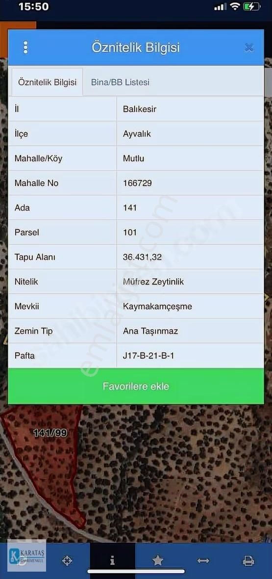Ayvalık'ta Satılık Uygun Fiyatlı 107 Dönüm Zeytinlik - Görsel 11