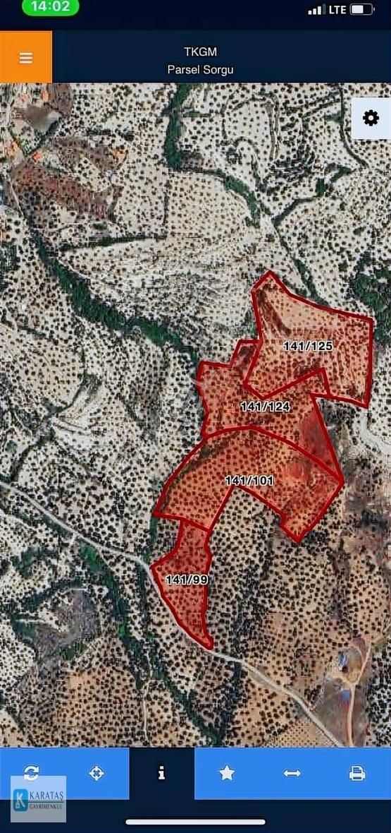 Ayvalık'ta Satılık Uygun Fiyatlı 107 Dönüm Zeytinlik - Görsel 4
