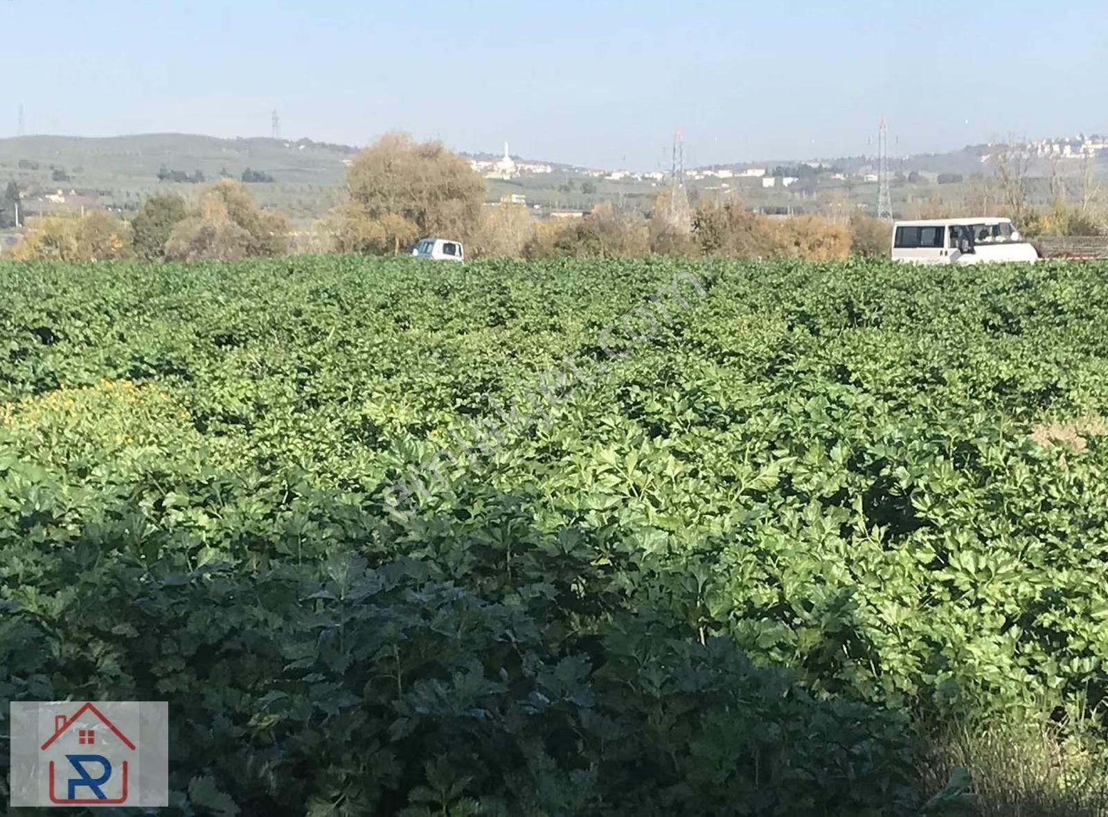 Relax Tr Gayrimenkul Den Yatırımlık Arazi - Görsel 9
