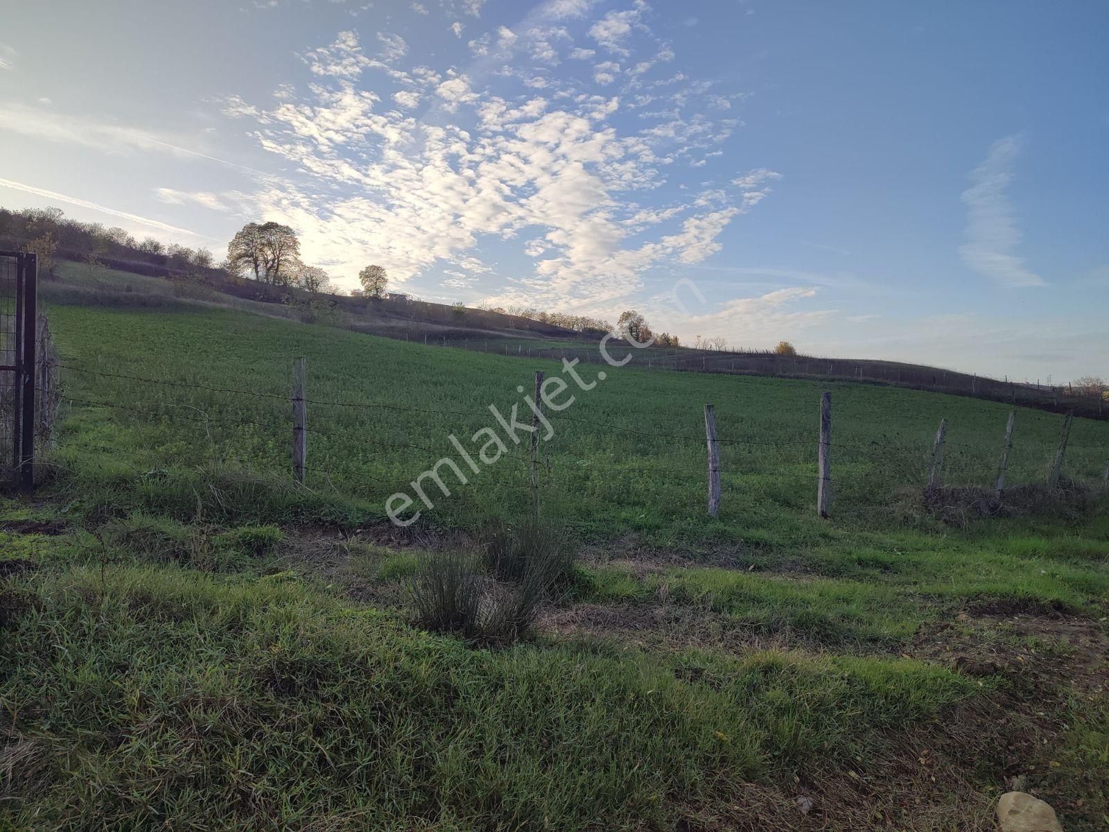 Tarcanlar'dan Elmacık'ta 2640 Metre Ve 1787 Metre Tarla