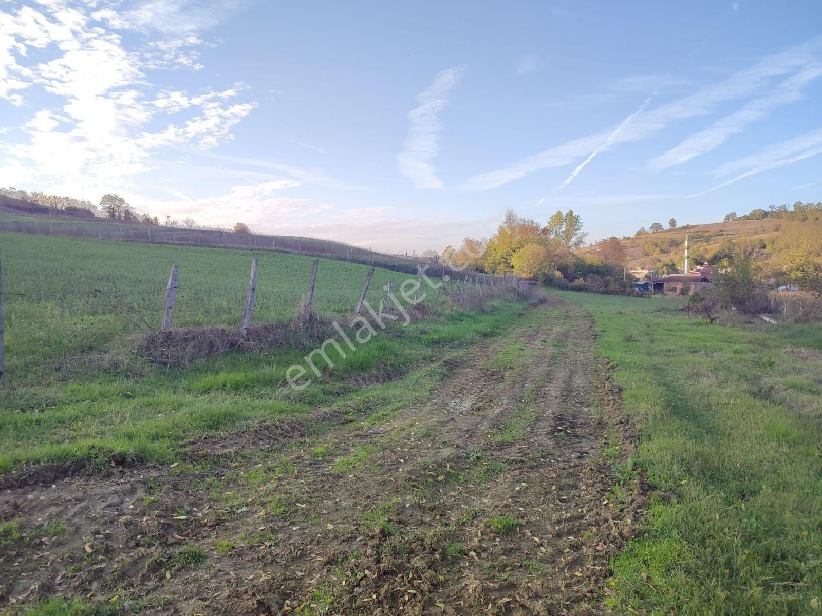 Tarcanlar'dan Elmacık'ta 2640 Metre Ve 1787 Metre Tarla - Görsel 11