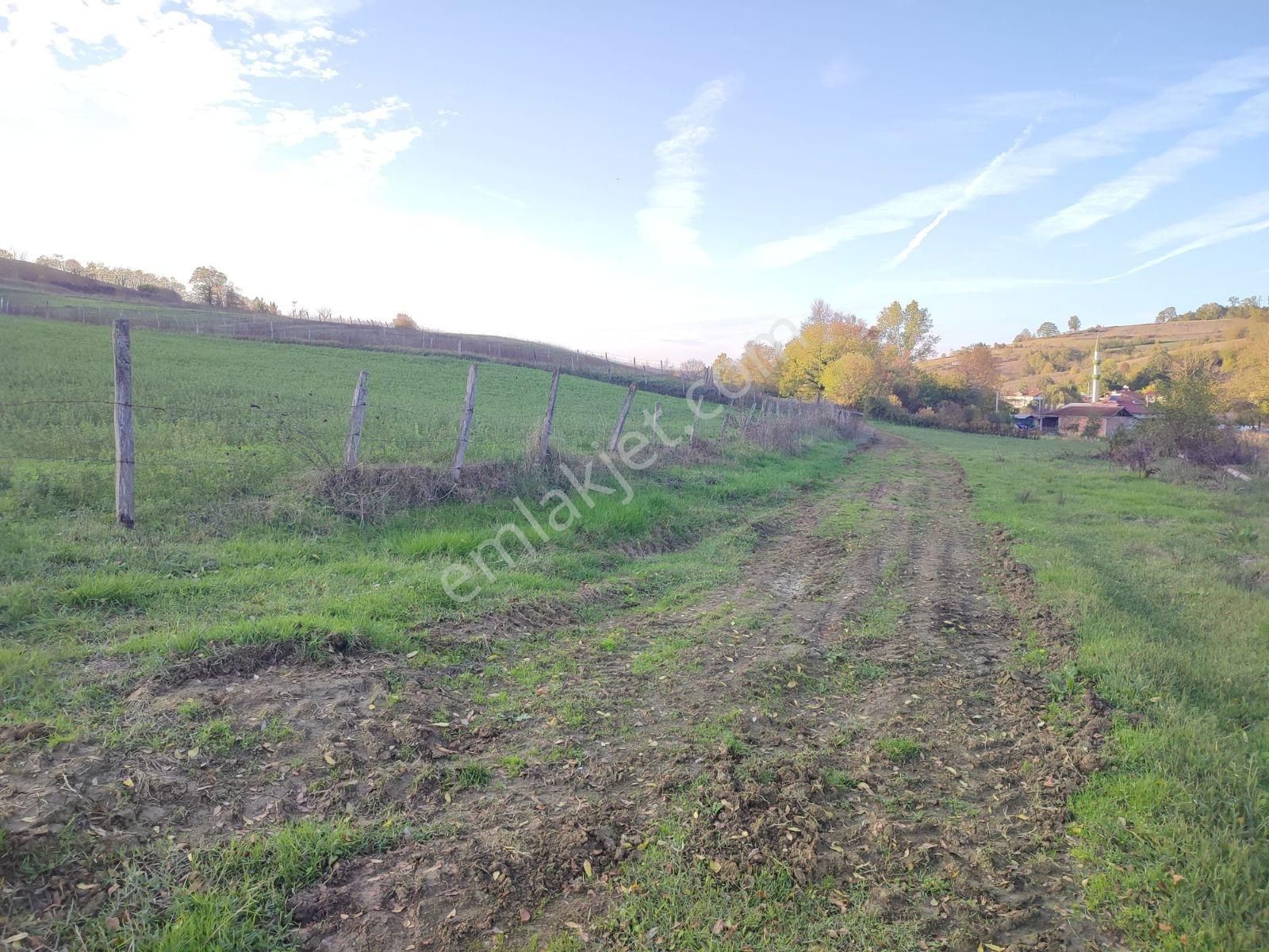 Tarcanlar'dan Elmacık'ta 2640 Metre Ve 1787 Metre Tarla - Görsel 6