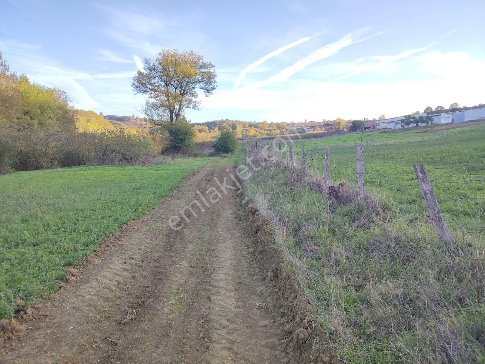 Tarcanlar'dan Elmacık'ta 2640 Metre Ve 1787 Metre Tarla - Görsel 18