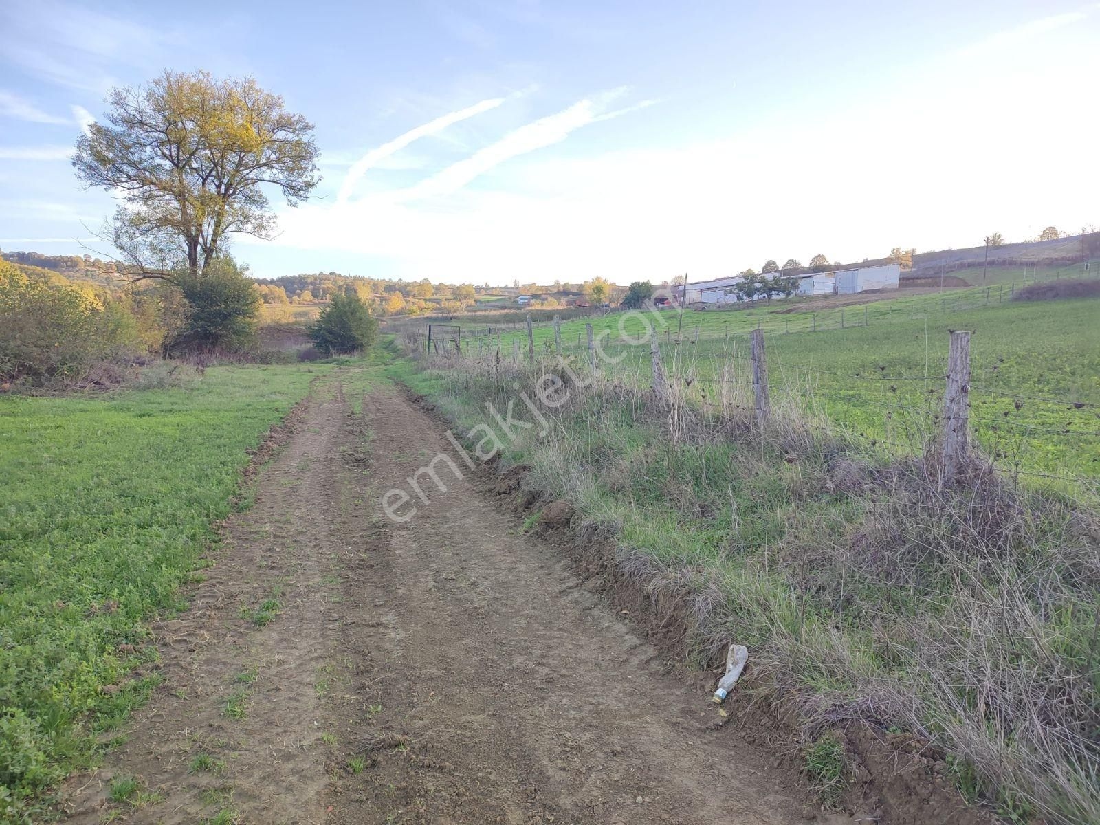 Tarcanlar'dan Elmacık'ta 2640 Metre Ve 1787 Metre Tarla - Görsel 20