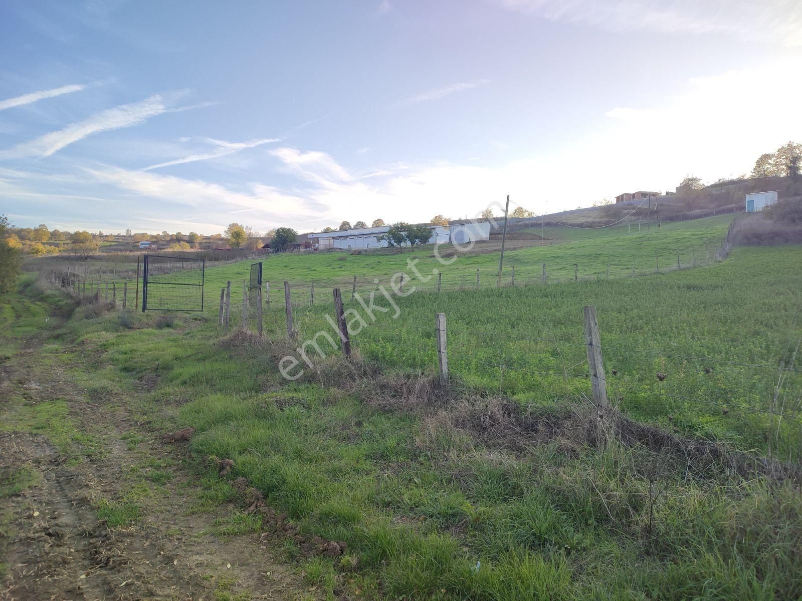 Tarcanlar'dan Elmacık'ta 2640 Metre Ve 1787 Metre Tarla - Görsel 9