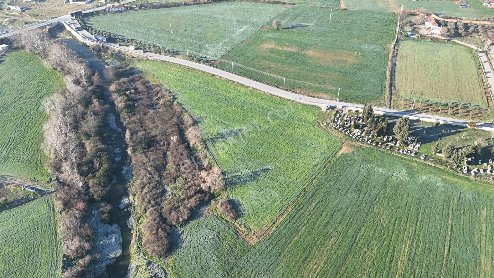 İzmir Menderes Develide 8,5dönüm Tek Müstakil Anayolda 3 Hisseli Tamamı Satılık - Görsel 21