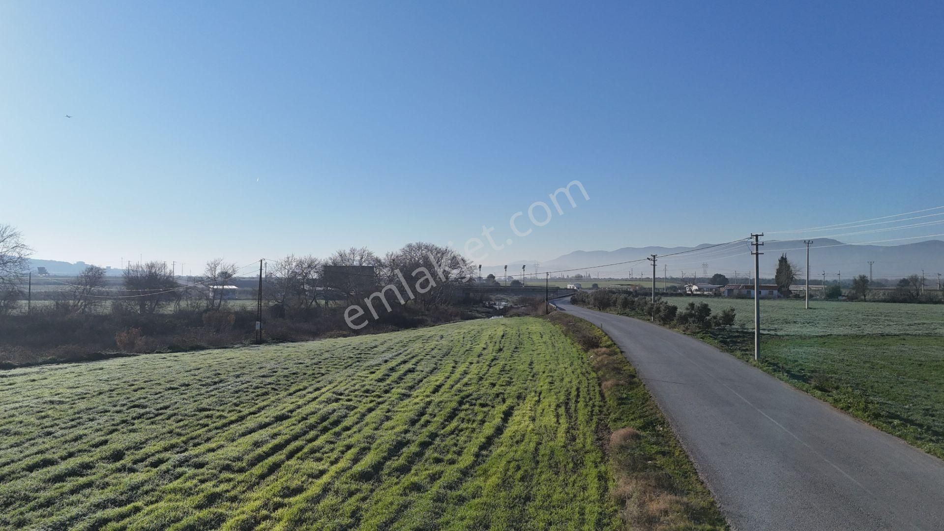 İzmir Menderes Develide 8,5dönüm Tek Müstakil Anayolda 3 Hisseli Tamamı Satılık - Görsel 32