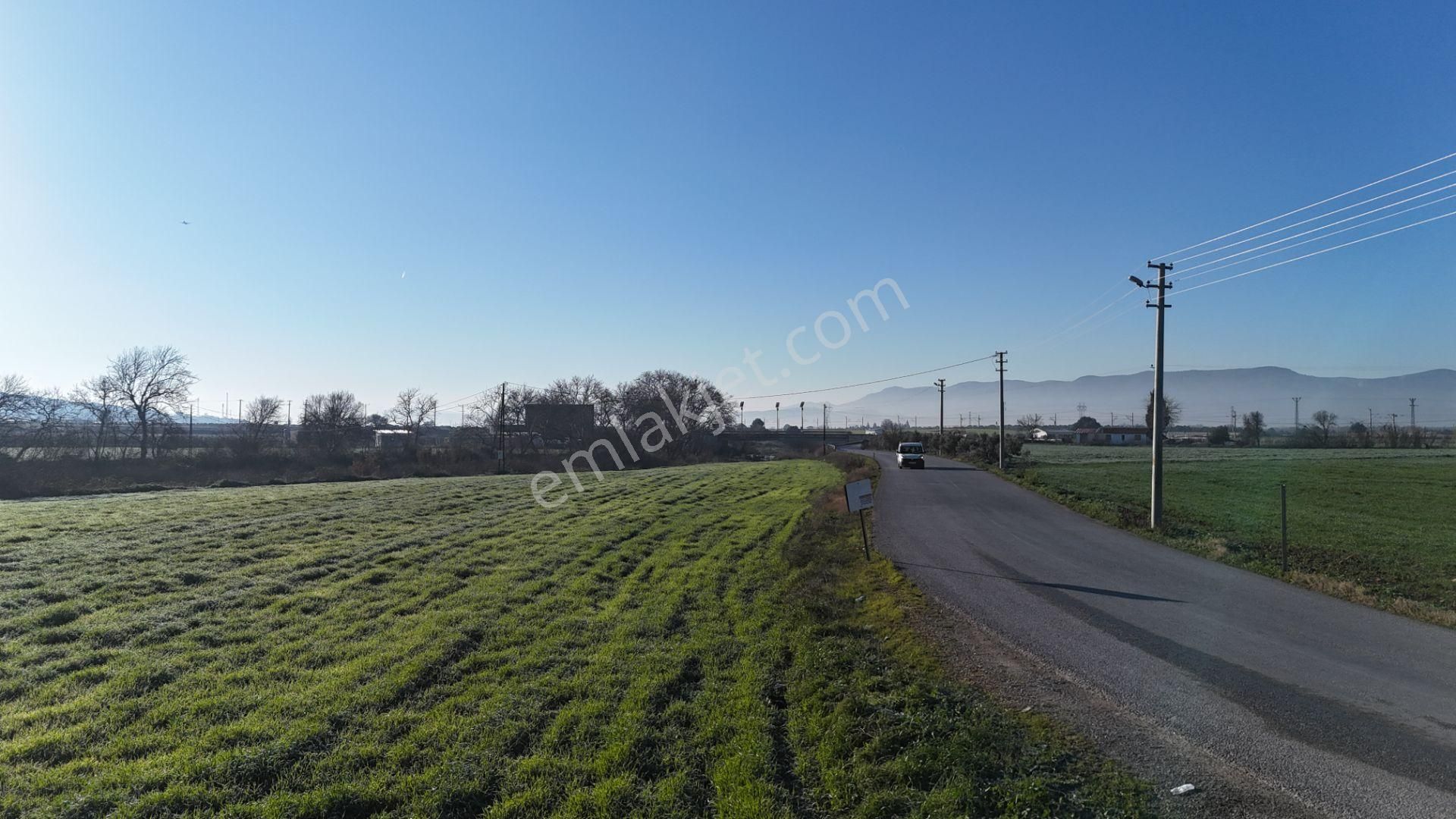 İzmir Menderes Develide 8,5dönüm Tek Müstakil Anayolda 3 Hisseli Tamamı Satılık - Görsel 29
