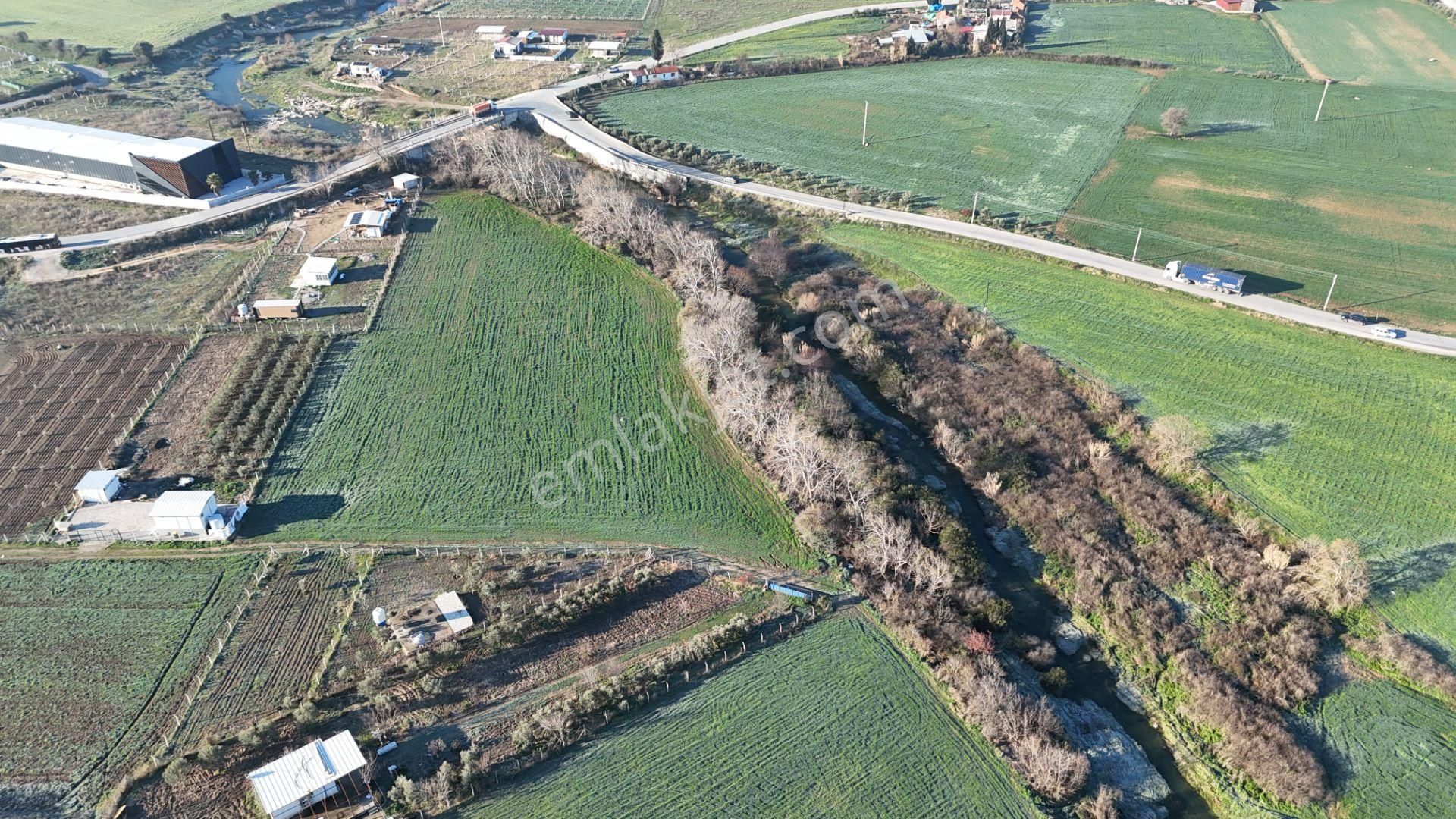 İzmir Menderes Develide 8,5dönüm Tek Müstakil Anayolda 3 Hisseli Tamamı Satılık - Görsel 7