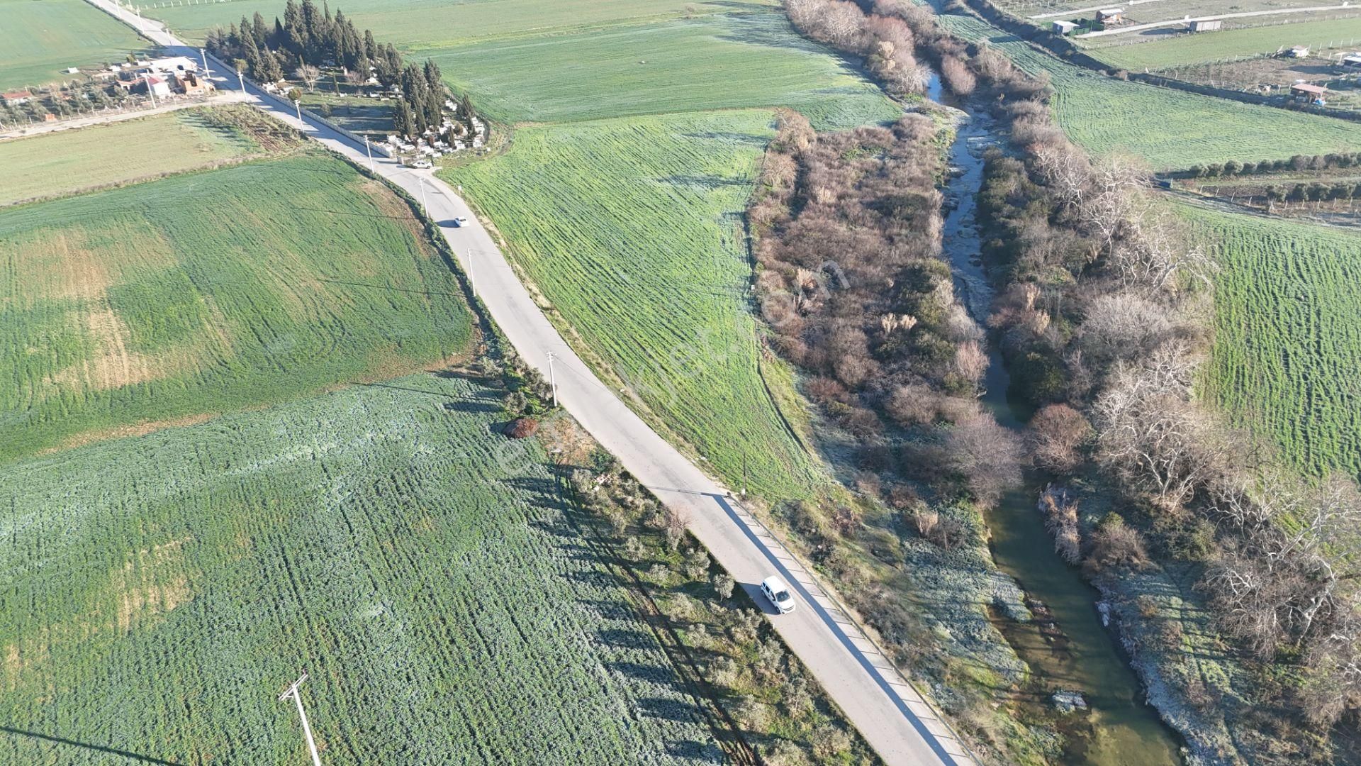 İzmir Menderes Develide 8,5dönüm Tek Müstakil Anayolda 3 Hisseli Tamamı Satılık - Görsel 6